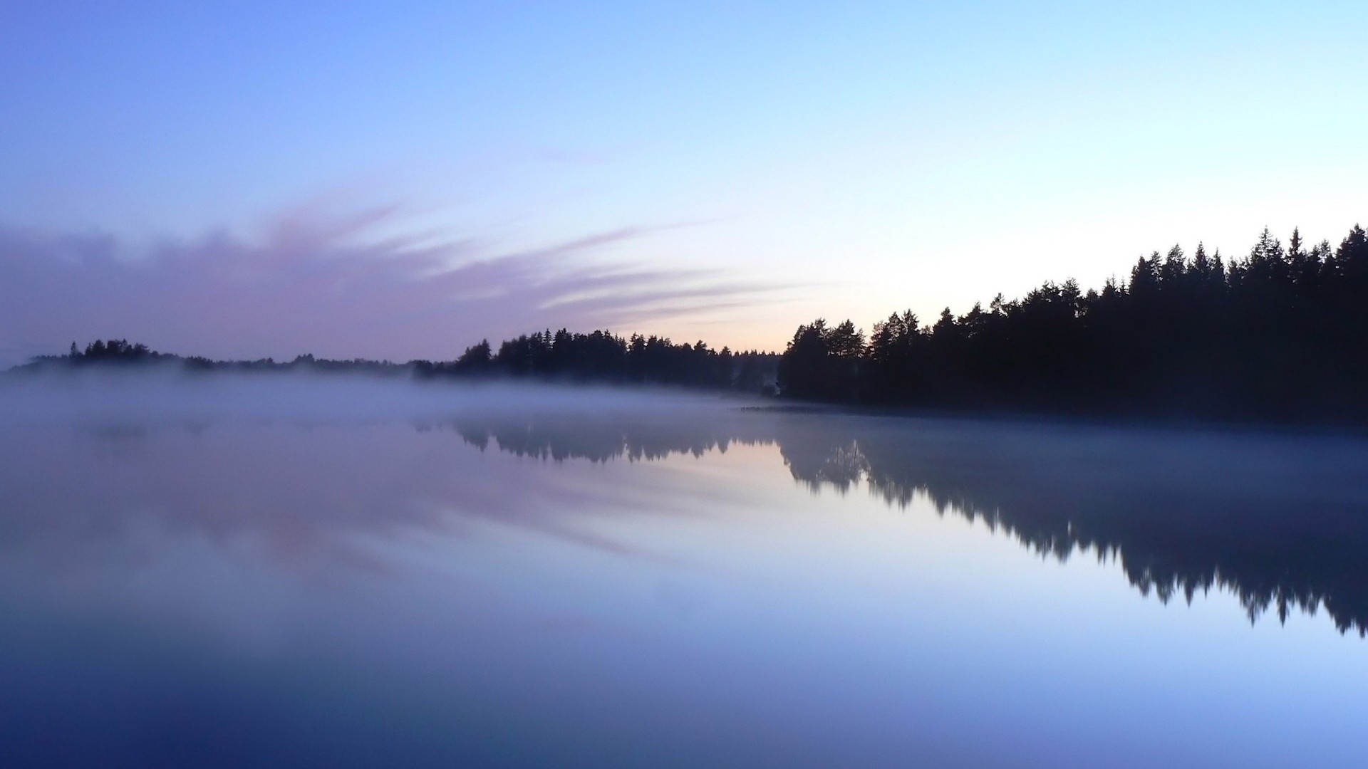 dm_e0bc6846a8a1ebb1676adbae519b6a9e