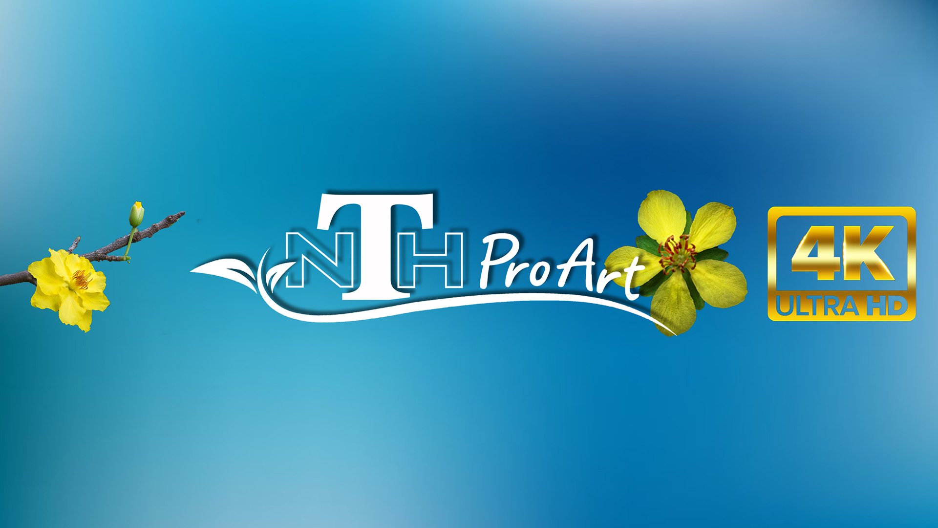 NHT ProArt