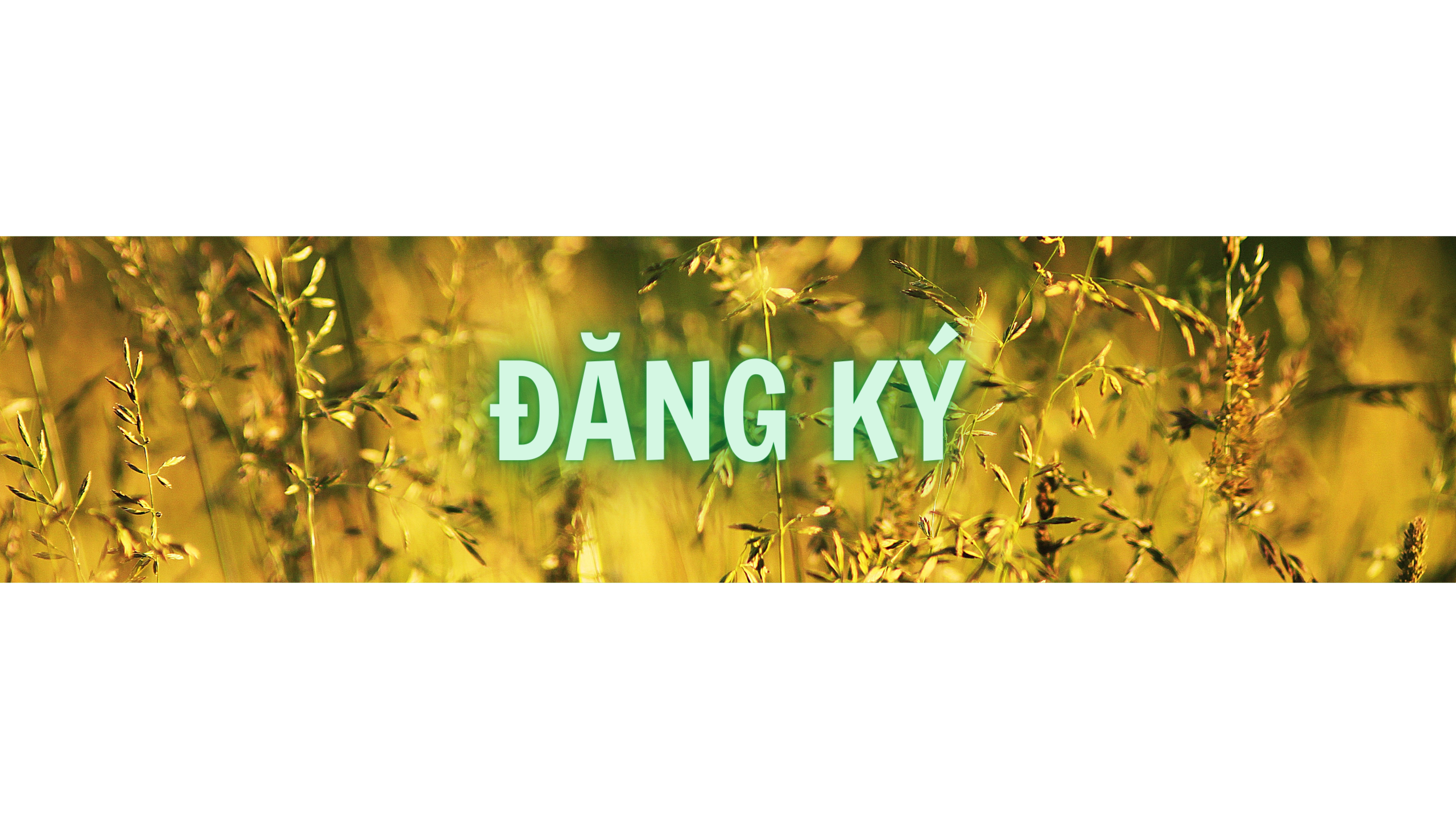 Phim Kiếm Hiệp TVB