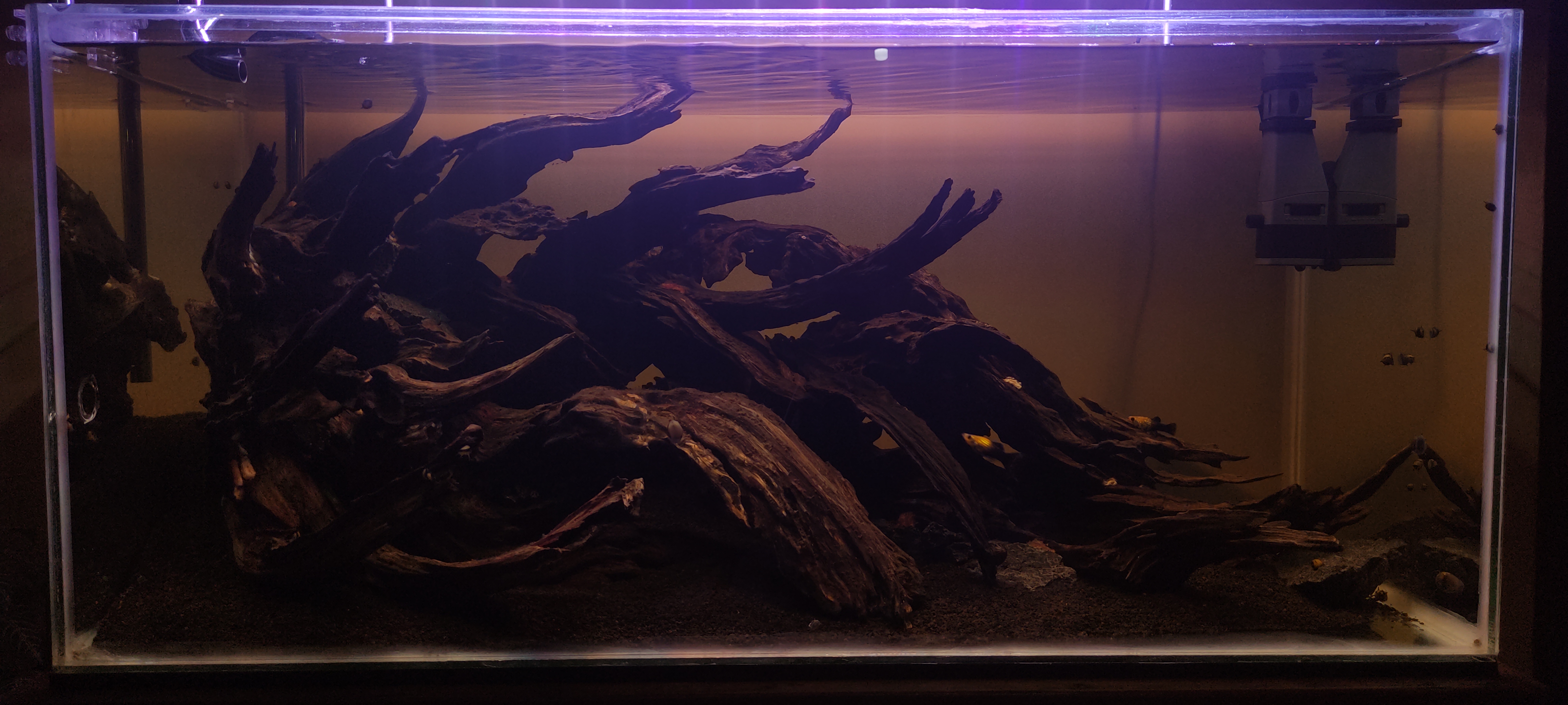 Casta Aquatic Channel