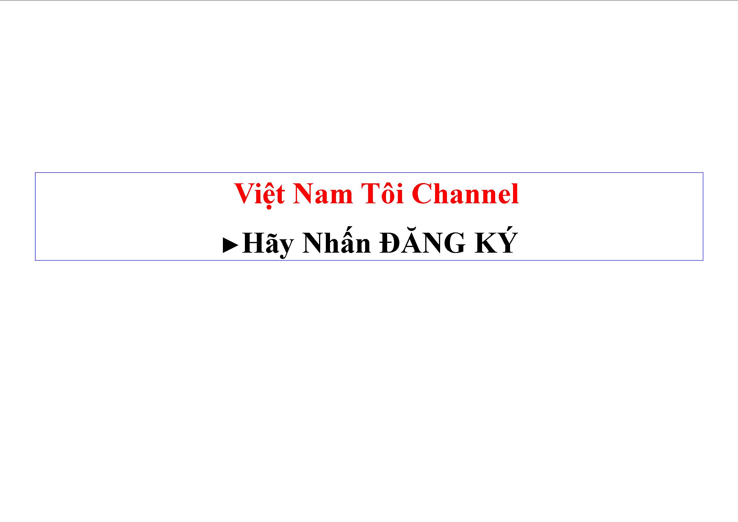 Việt Nam Tôi  Youtube Channel