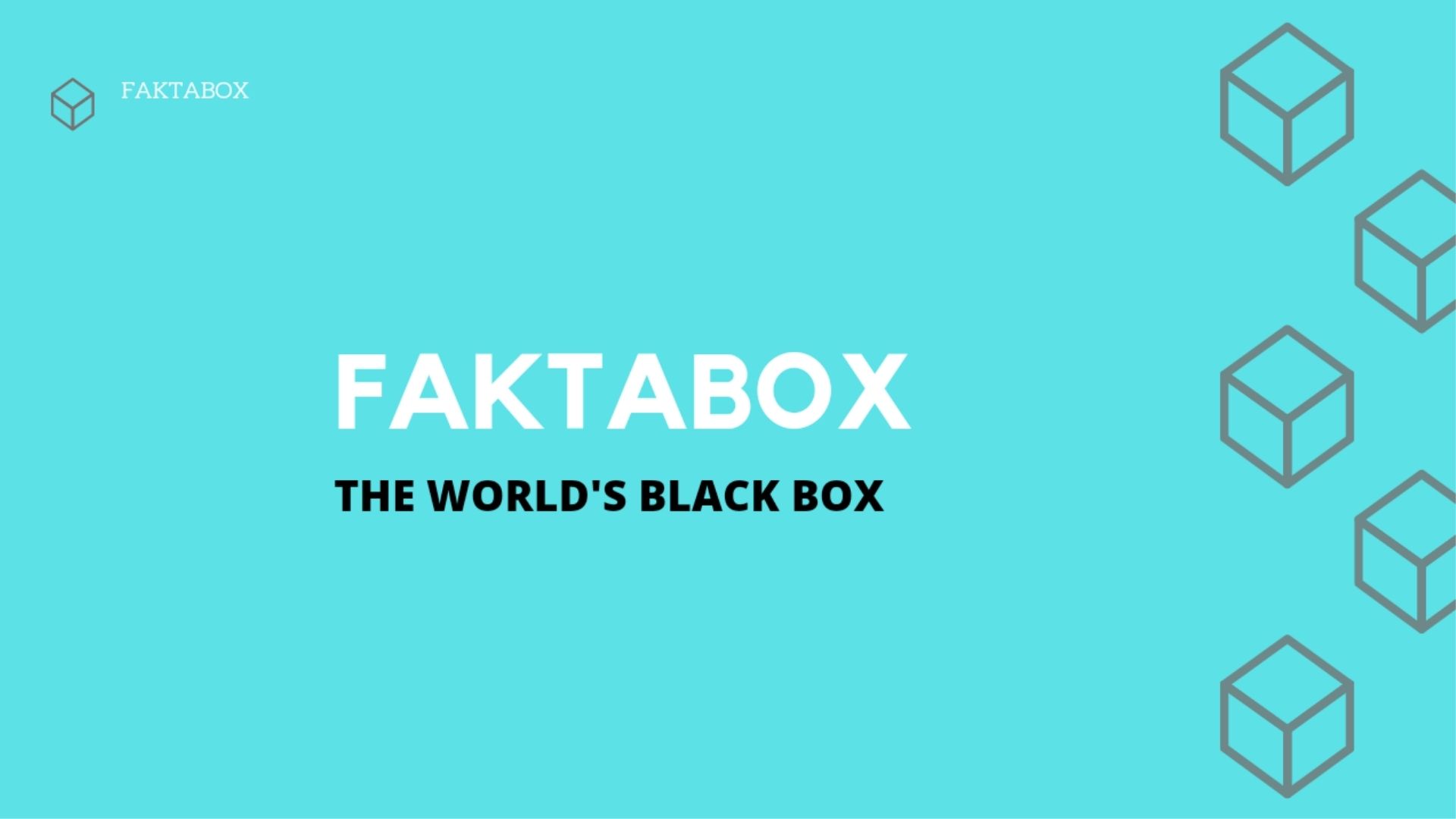 FAKTABOX