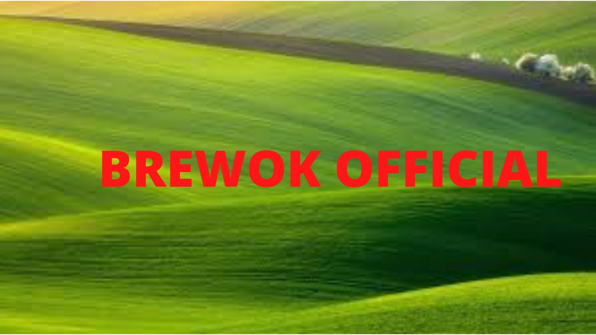 Brewok Official