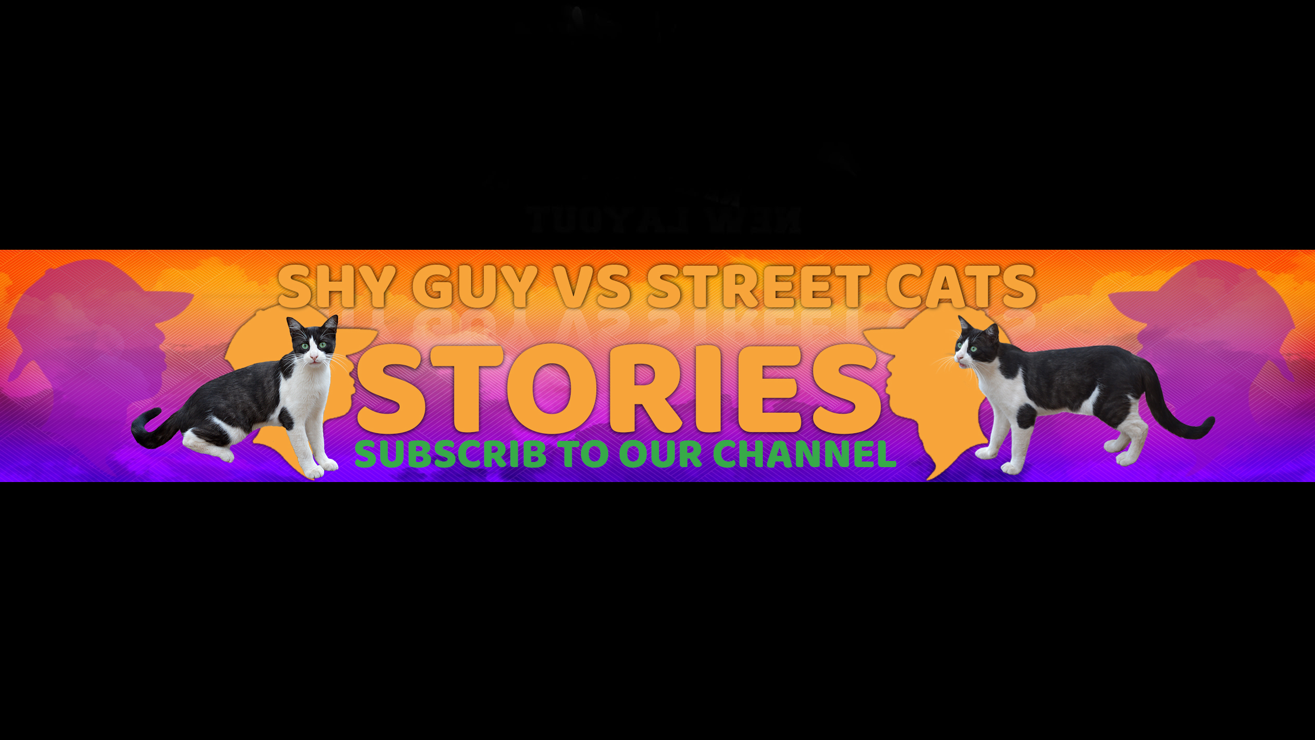 Shy Guy VS Street Cats Stories