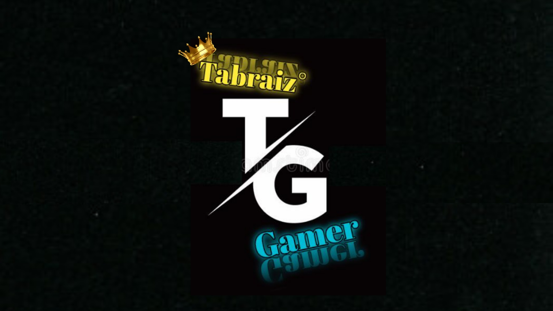 Tabraiz /Gamer