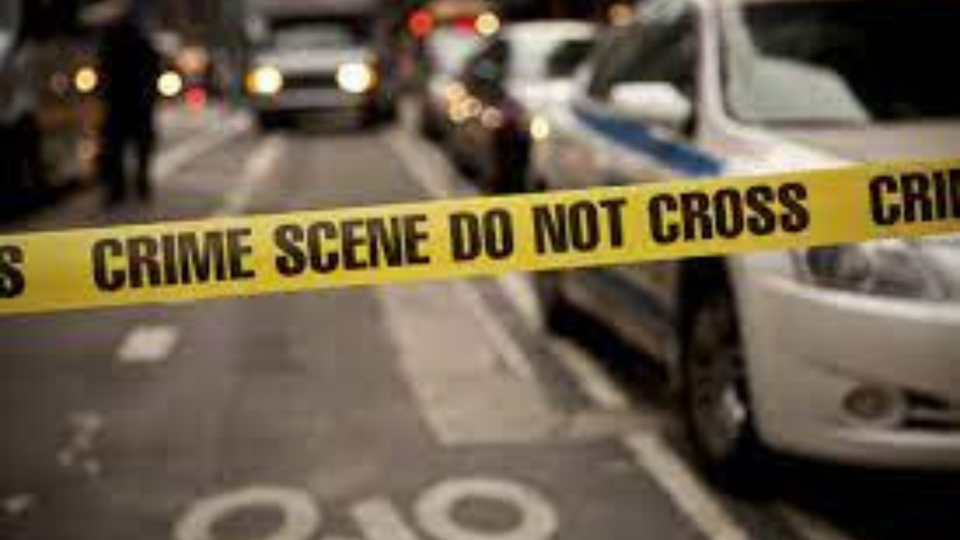 The world of crime and law