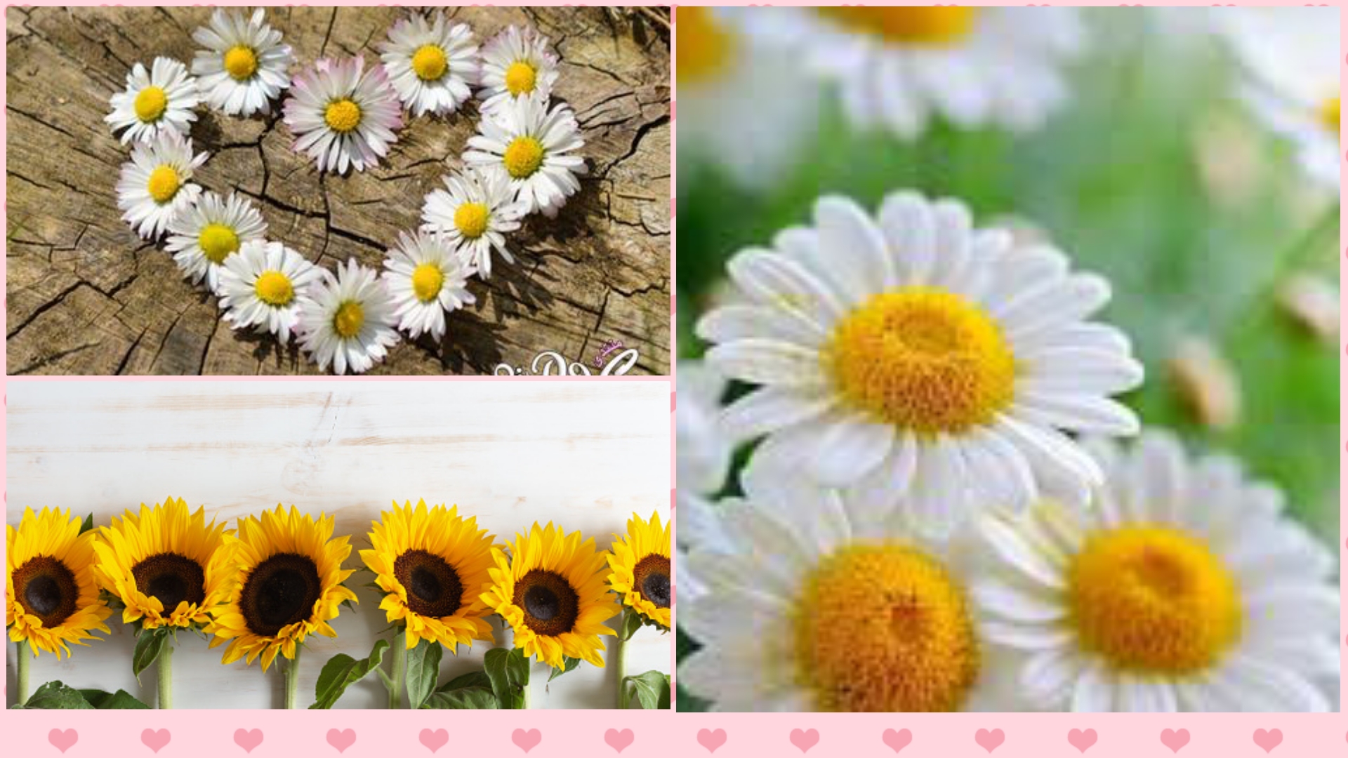 وصفات رشيدة العماري