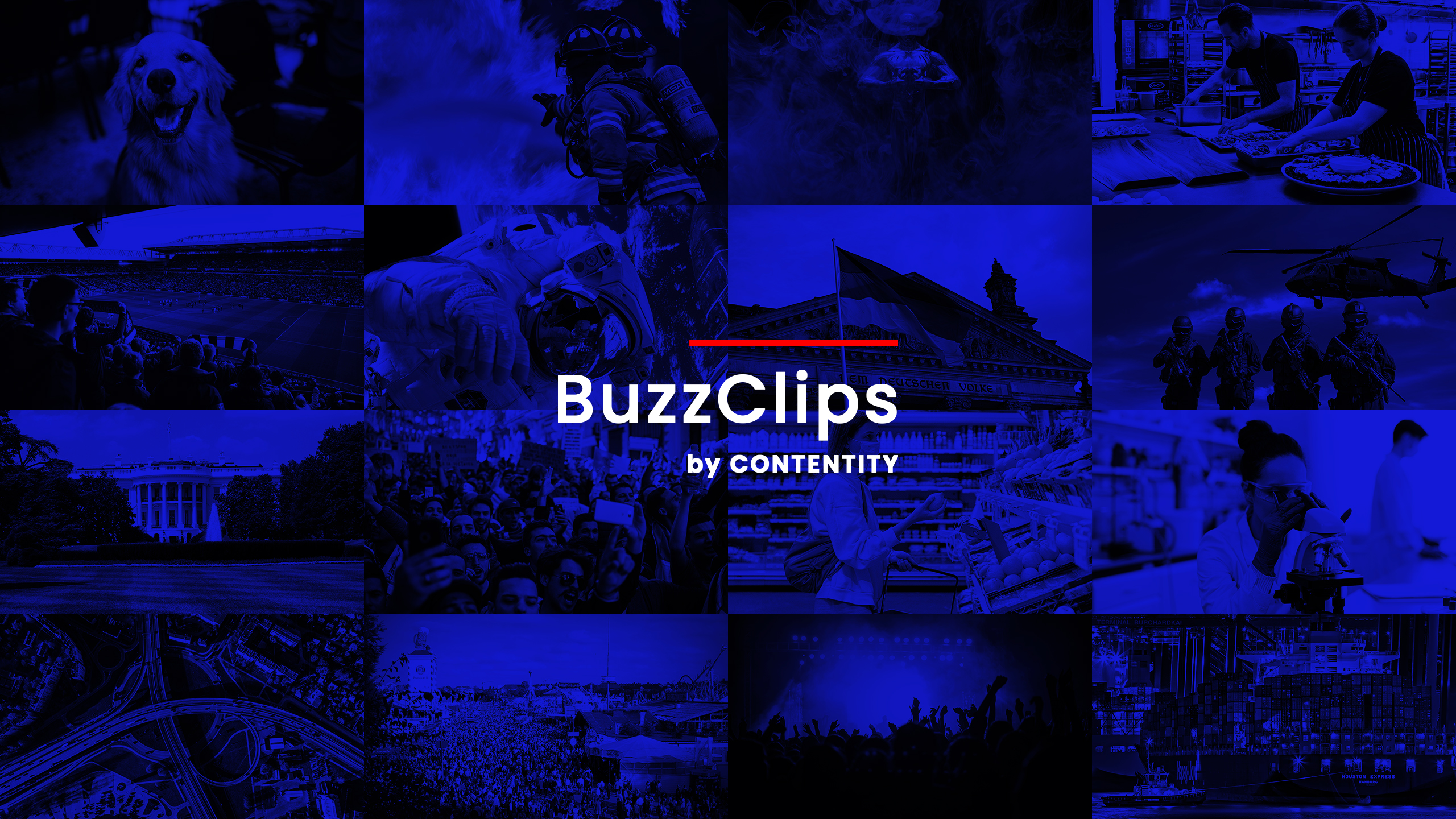 BuzzClips.News