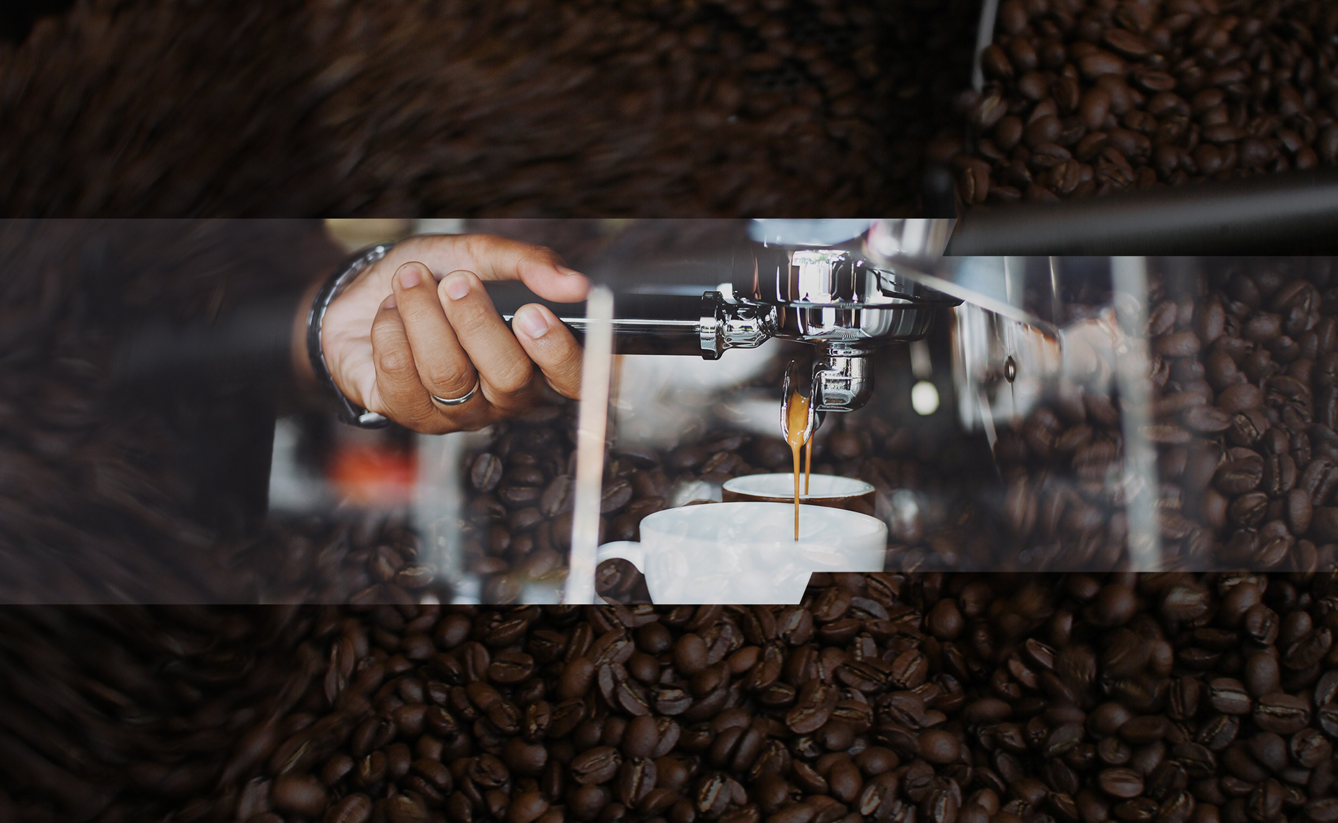 Nelson Rafael Bustamante Abidar