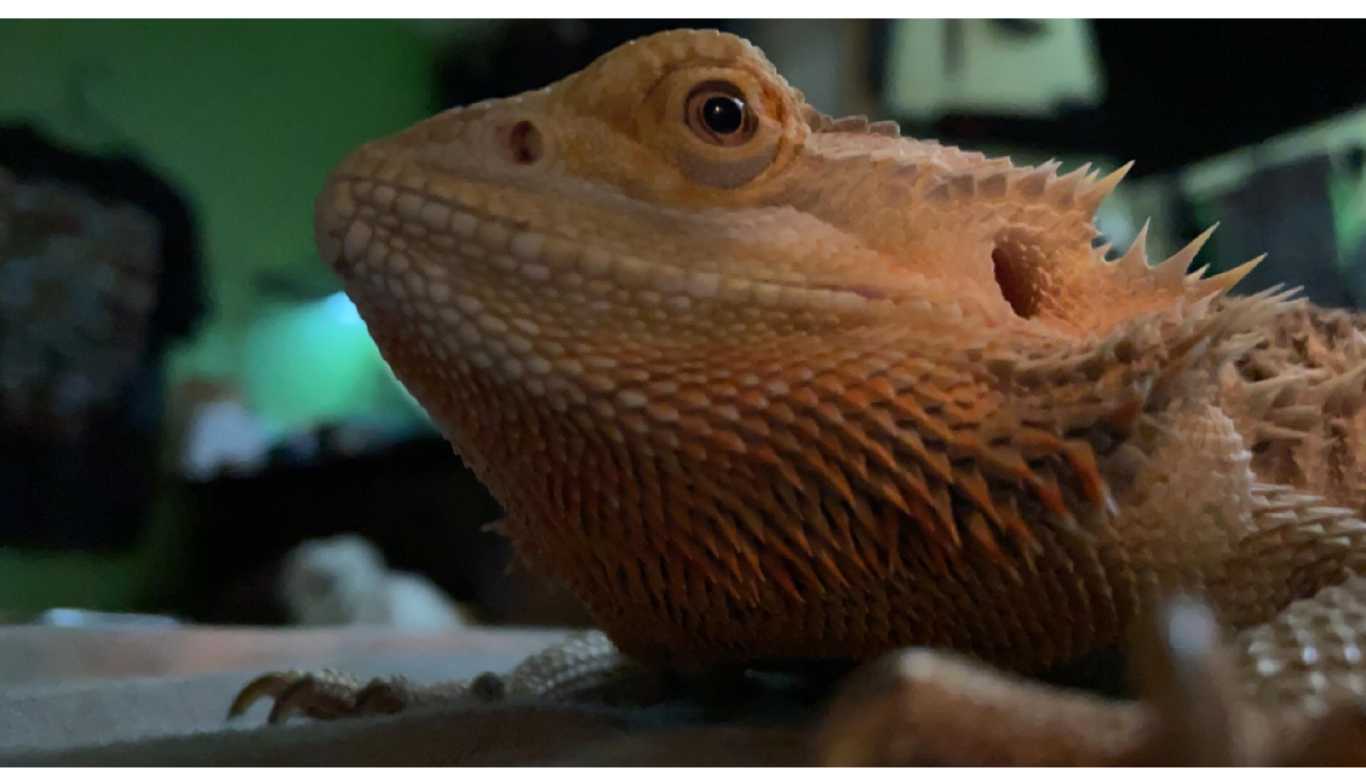 Eternal Quest For Knowledge