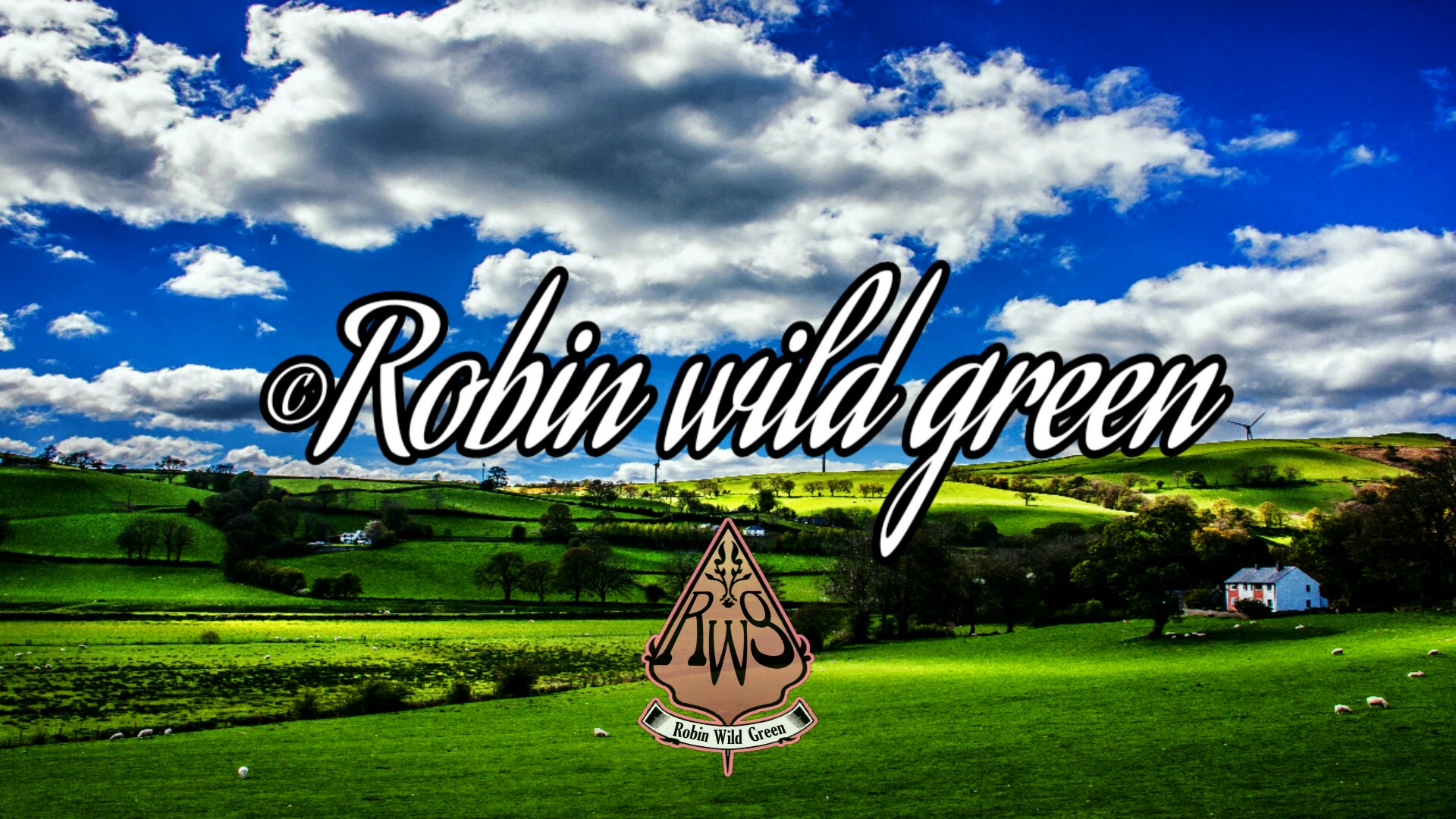 Robin Wild Green