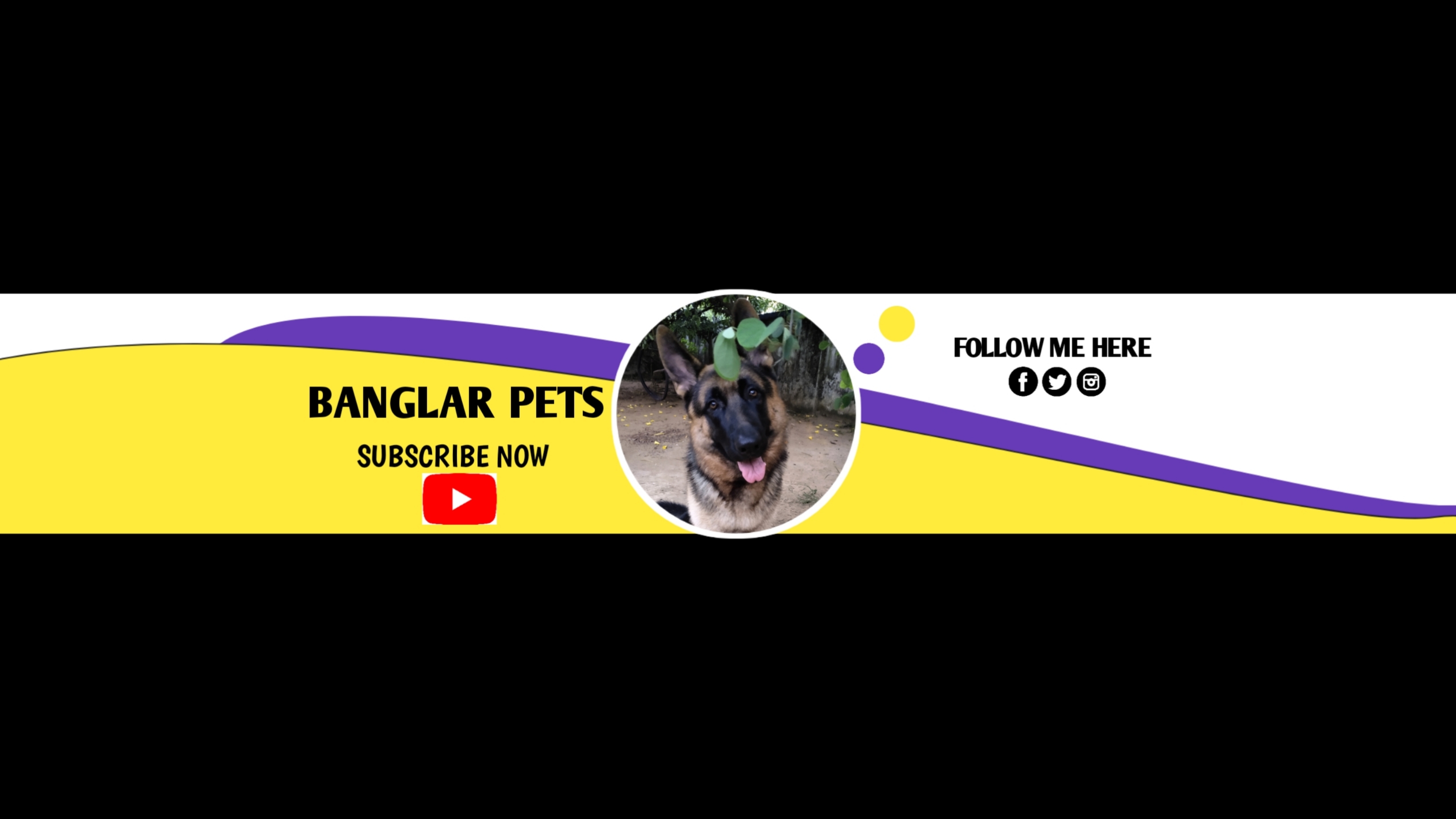 Banglar Pets