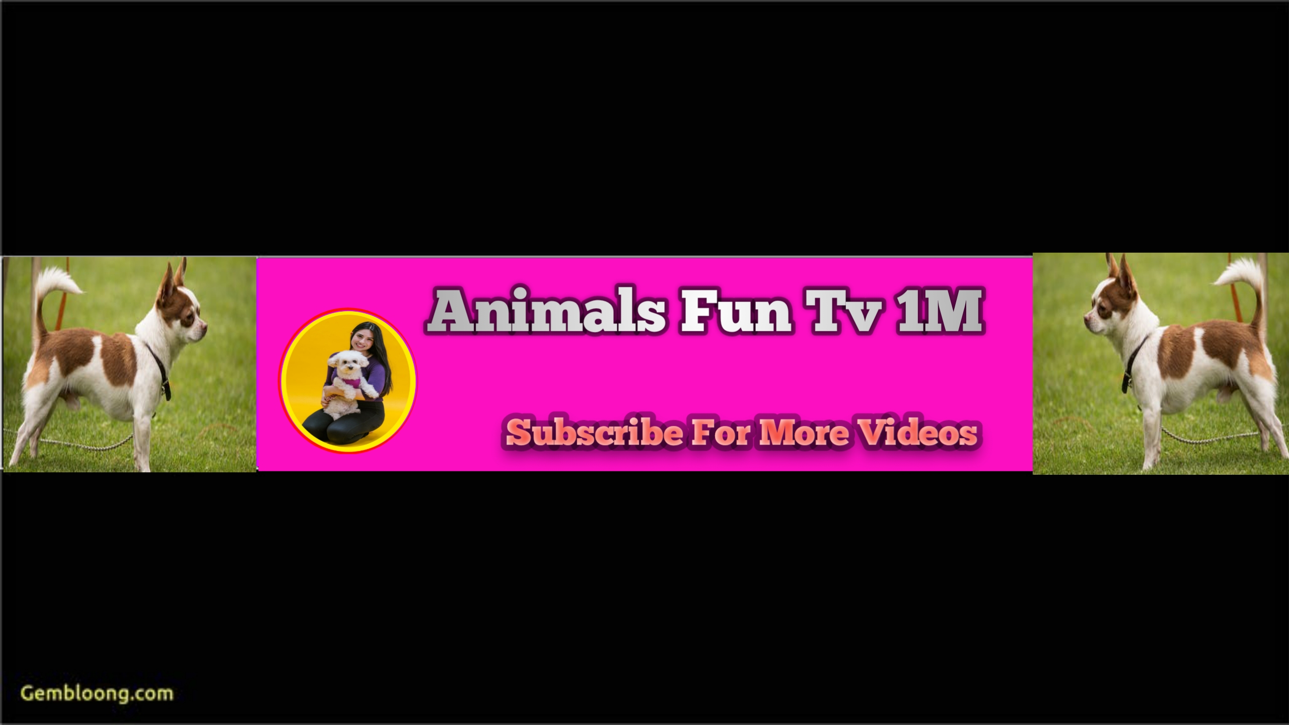 Animals Fun Tv 1M