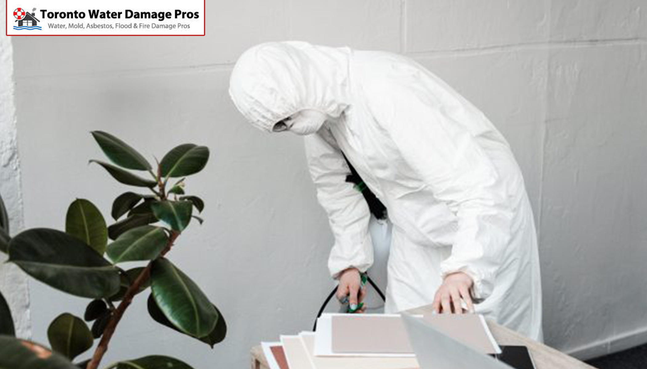 Toronto Water Damage Pros