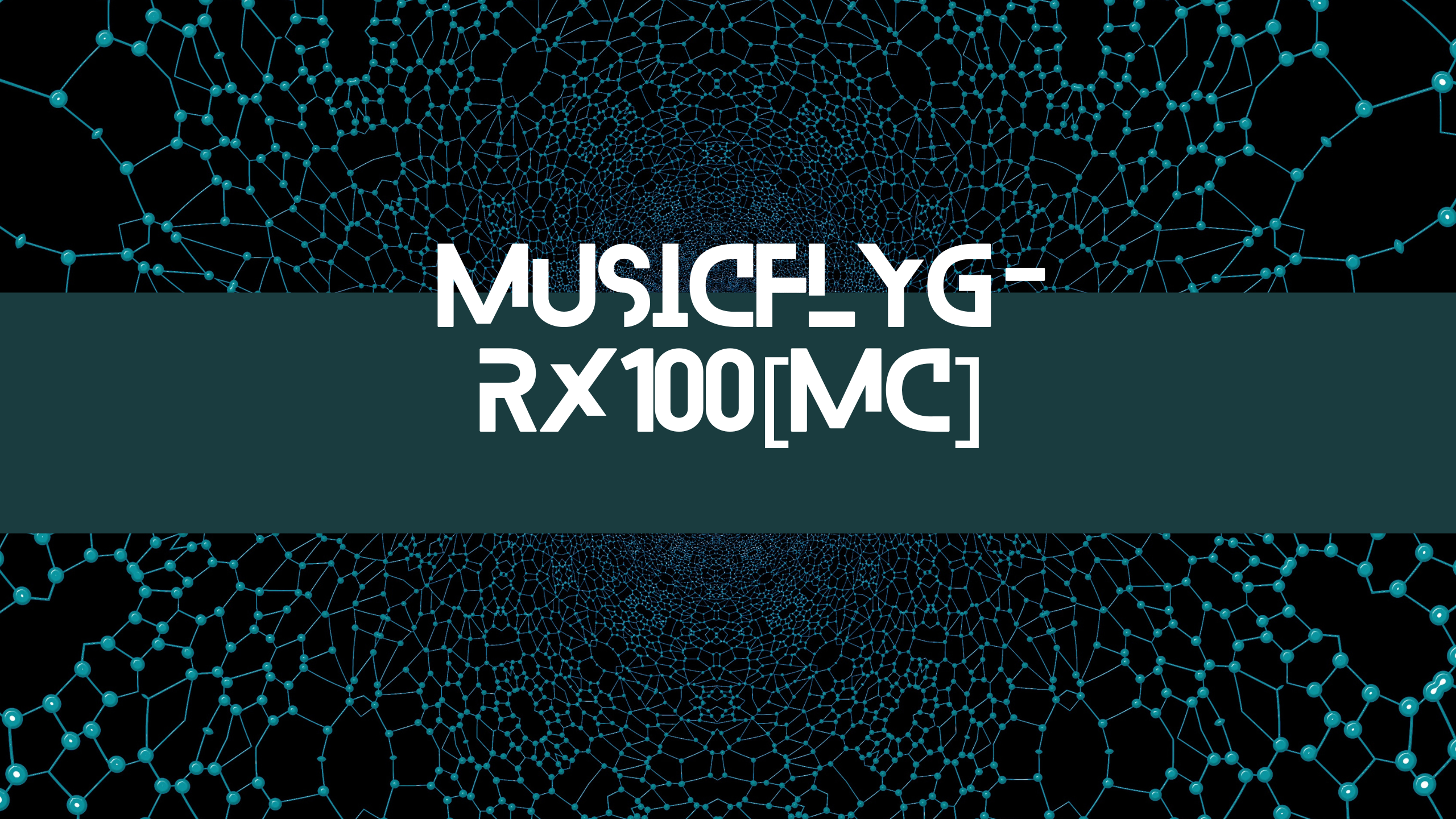 MUSICFLYG-RX100[MC]