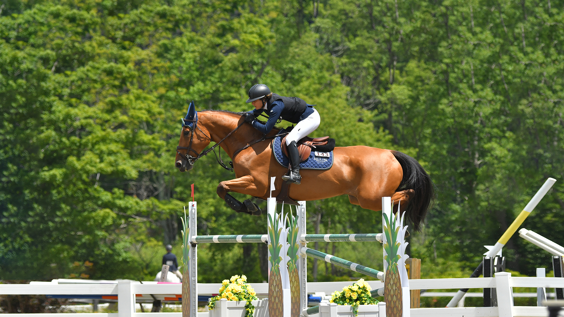 North Fork Equestrian