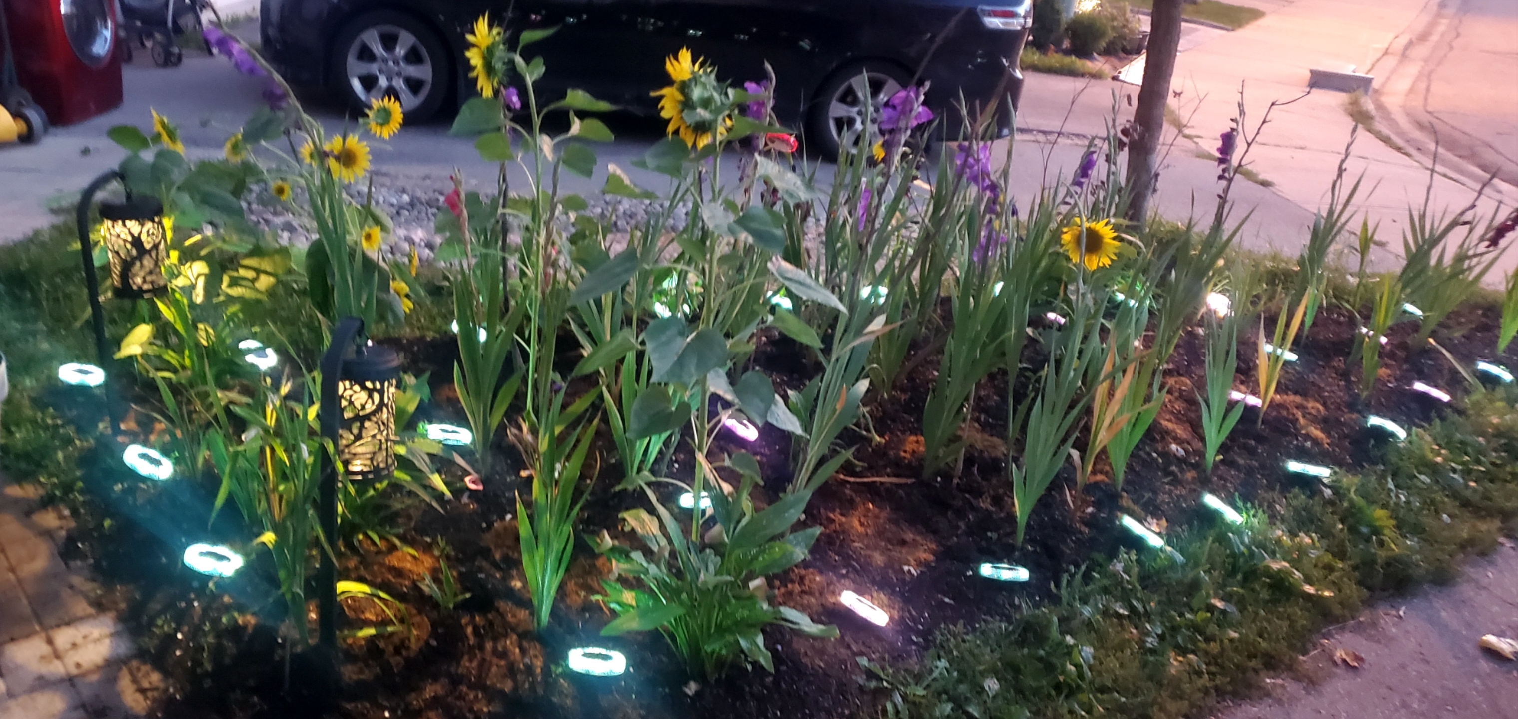 Anmol Virsa Satinder Bedi