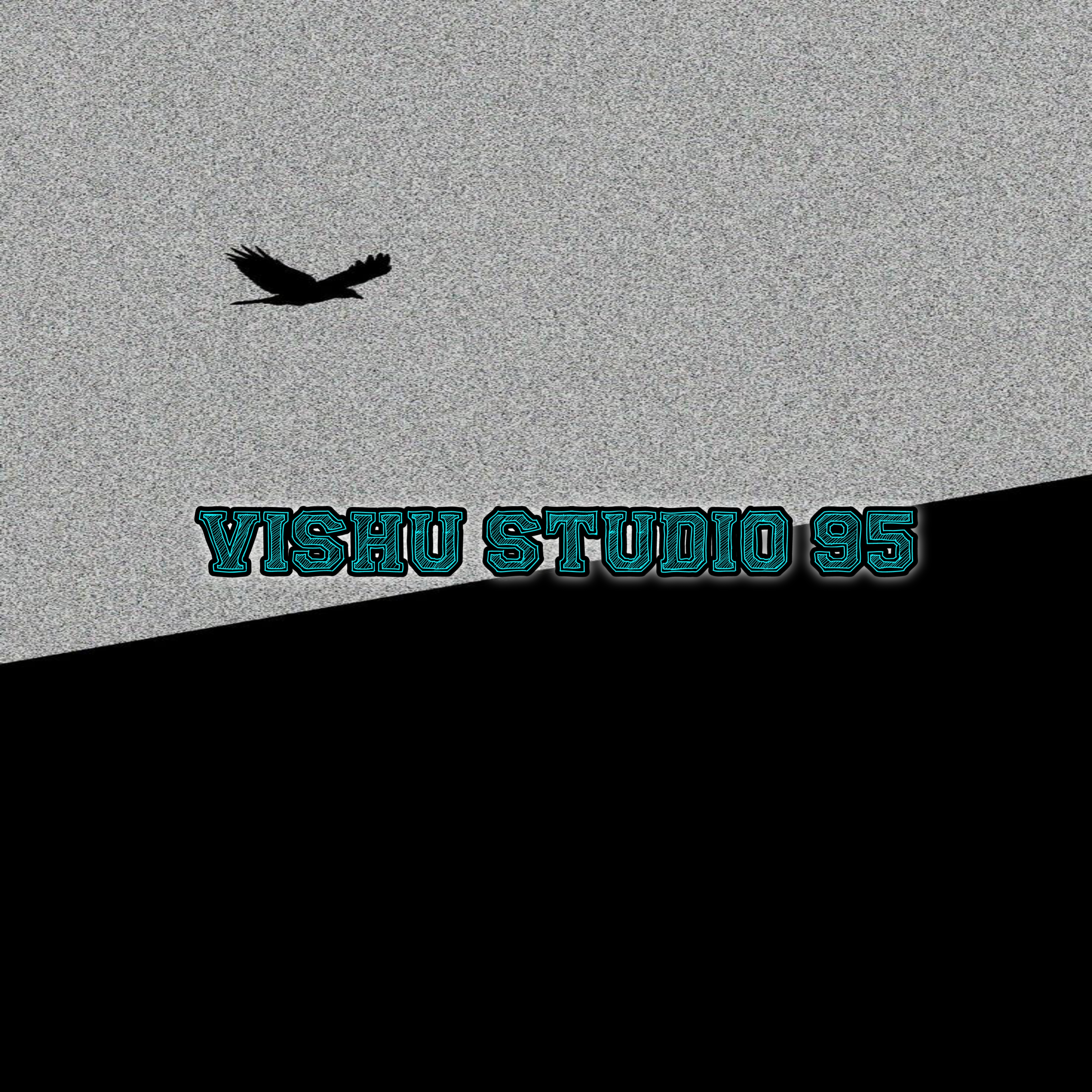 Vishu studio 95