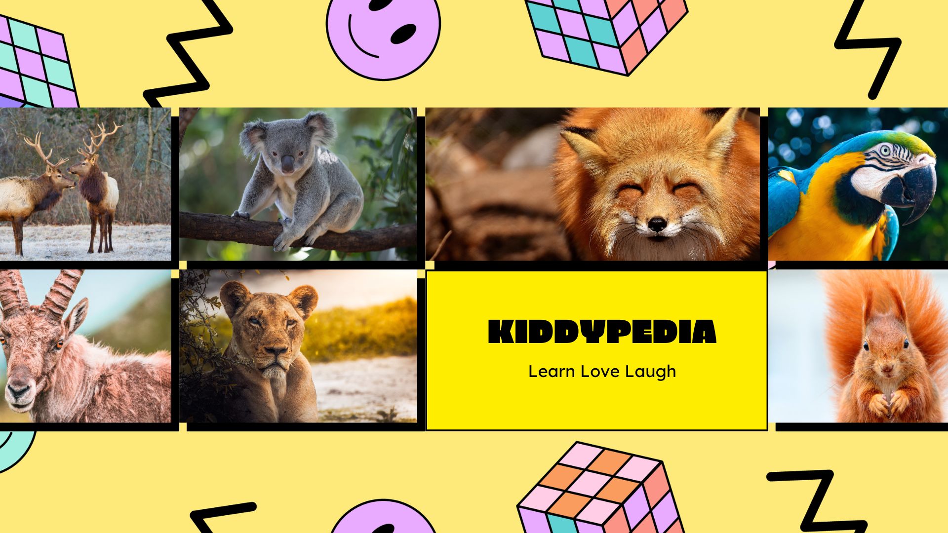 KIDDYPEDIA