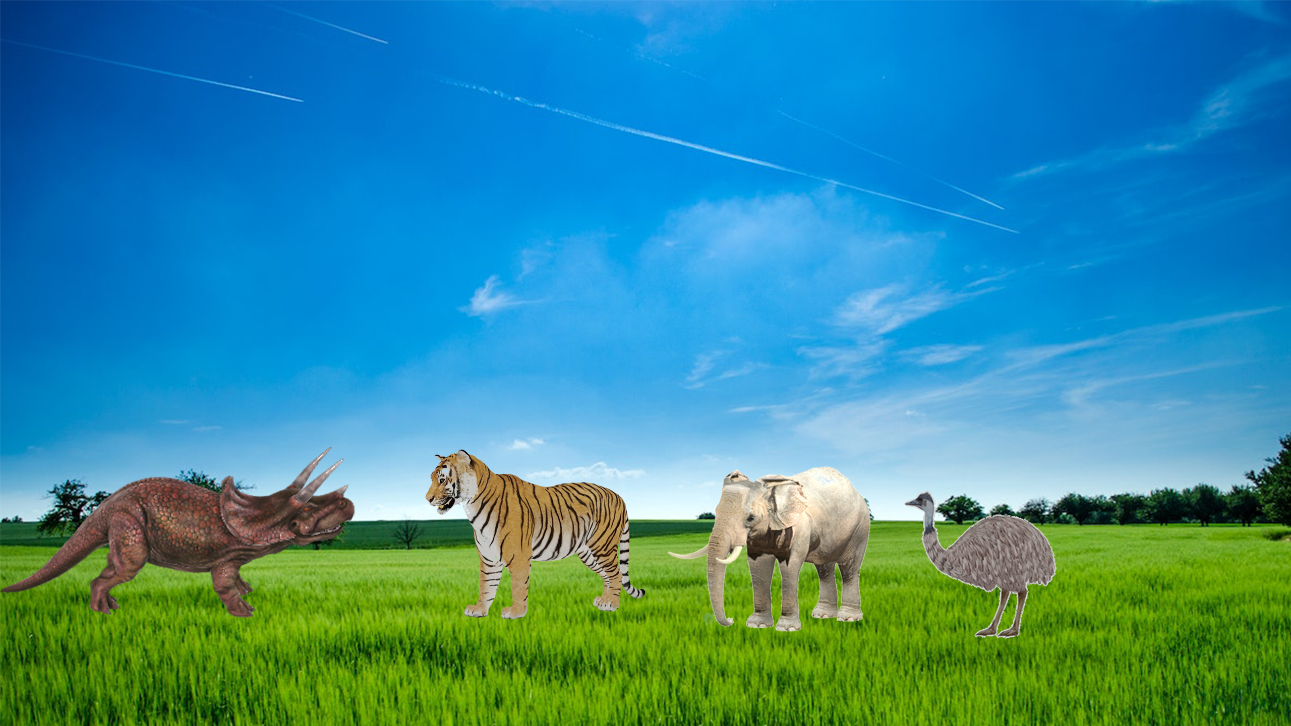 Funny Doodle Animals