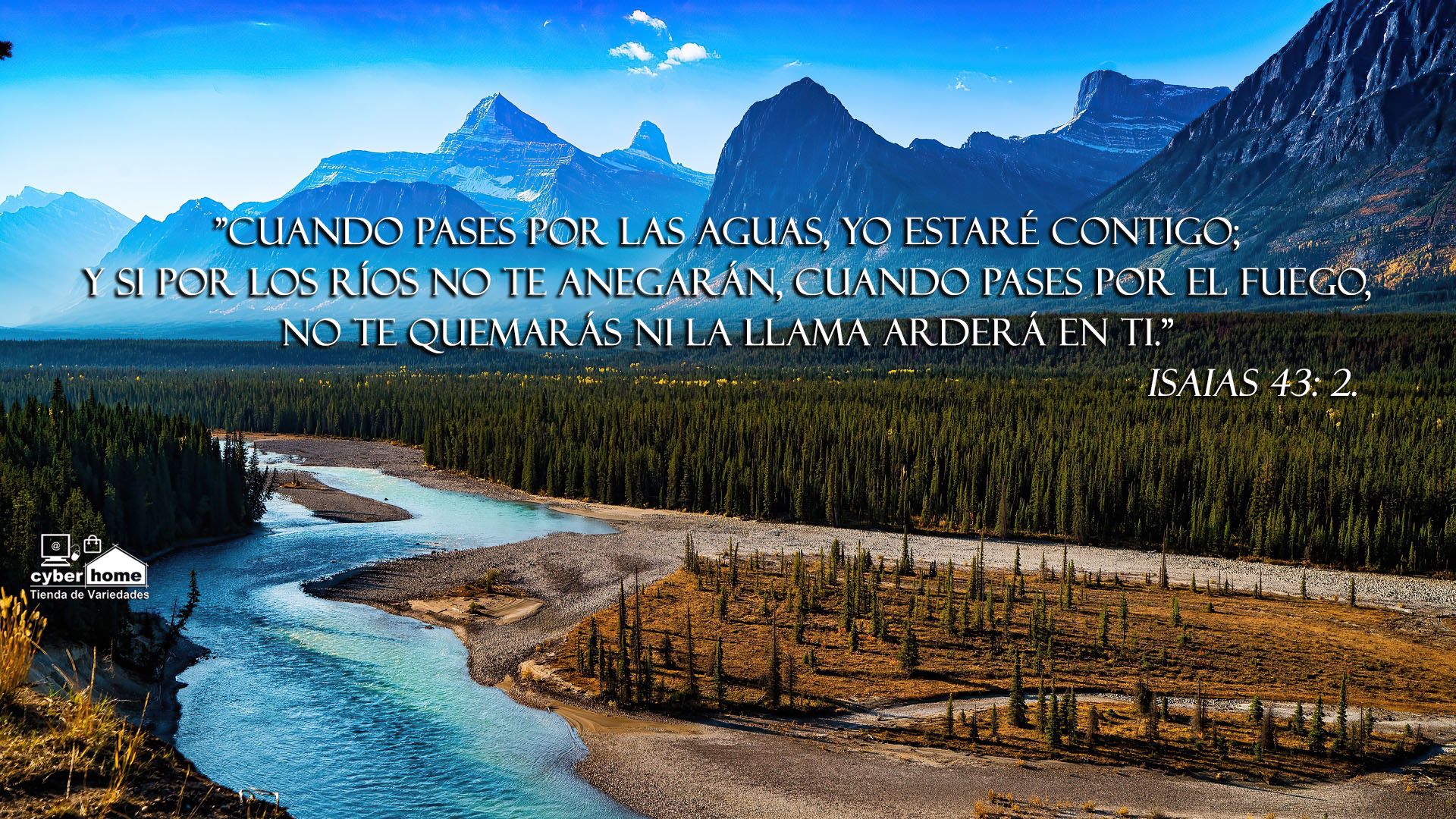 Albert Galliano ᴺᵒᵛᵉˡᵃˢ