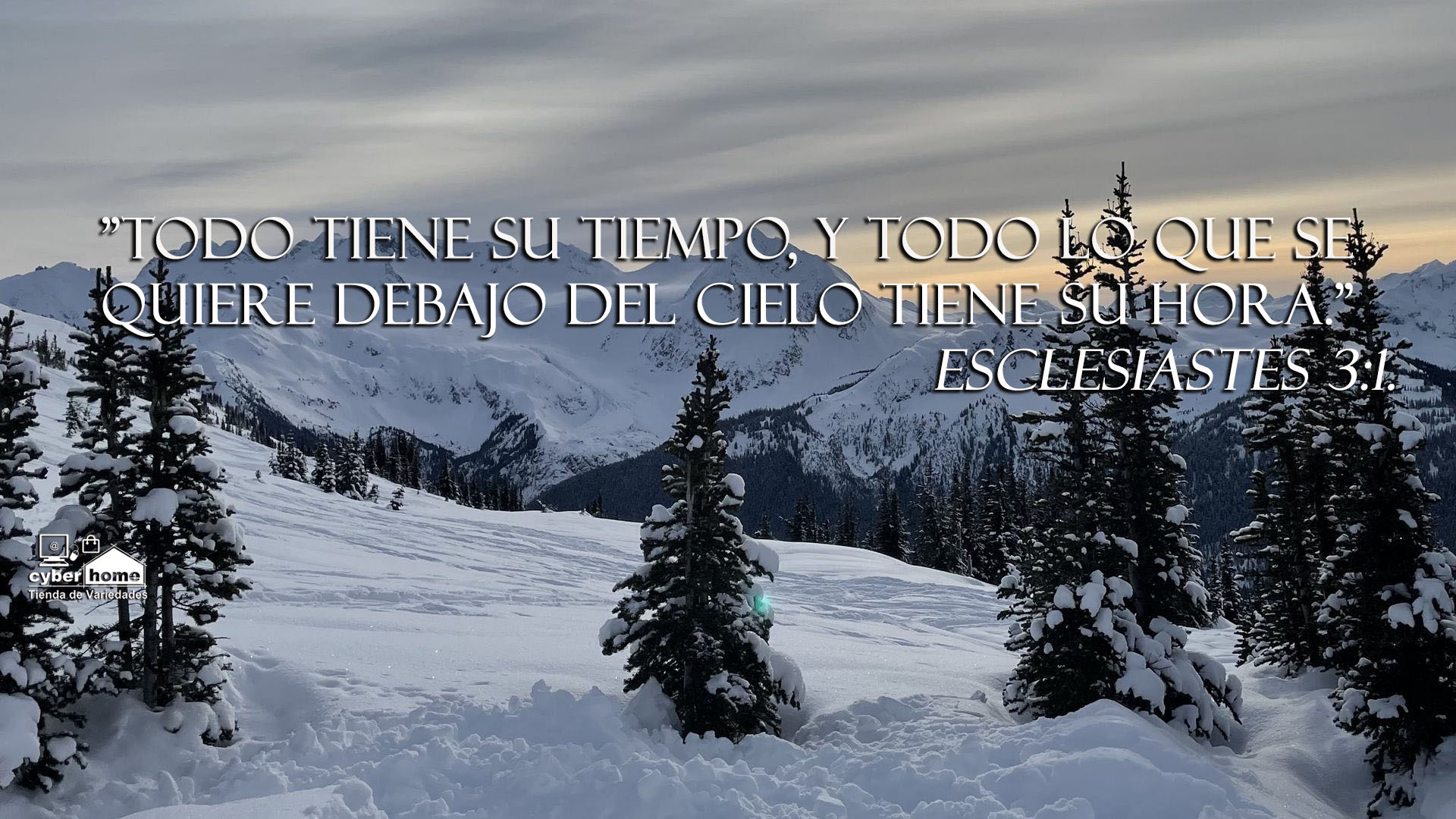 Jorge Alberto ᴺᵒᵛᵉˡᵃˢ