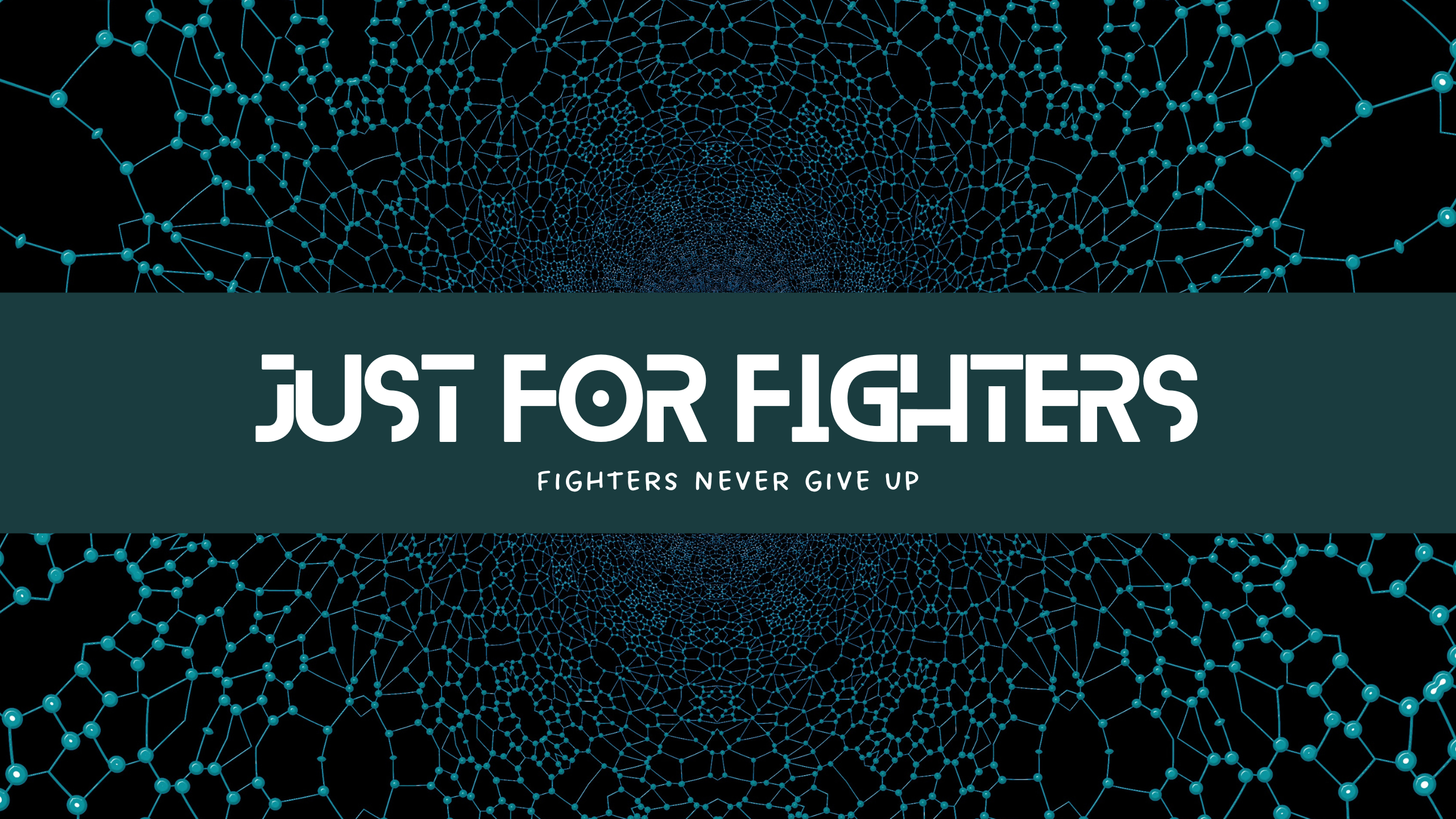 Just For Fighters