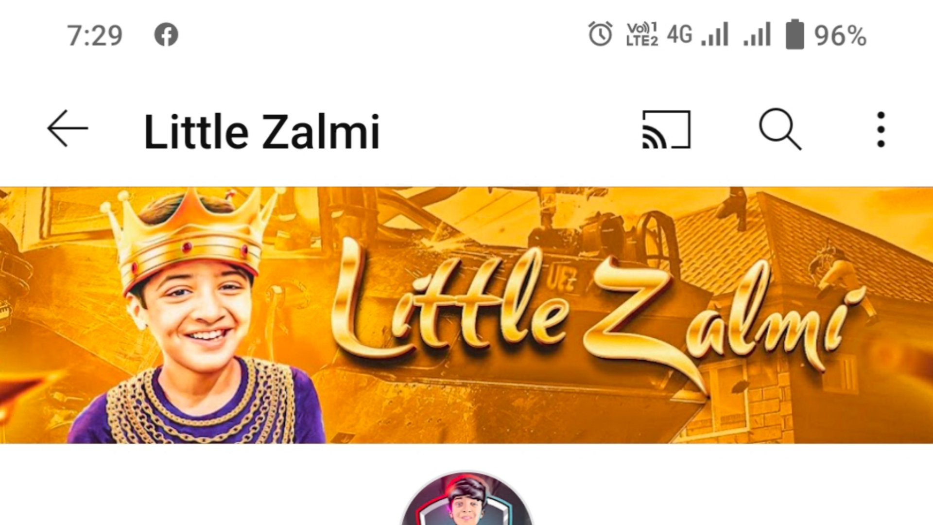 Little zalmi