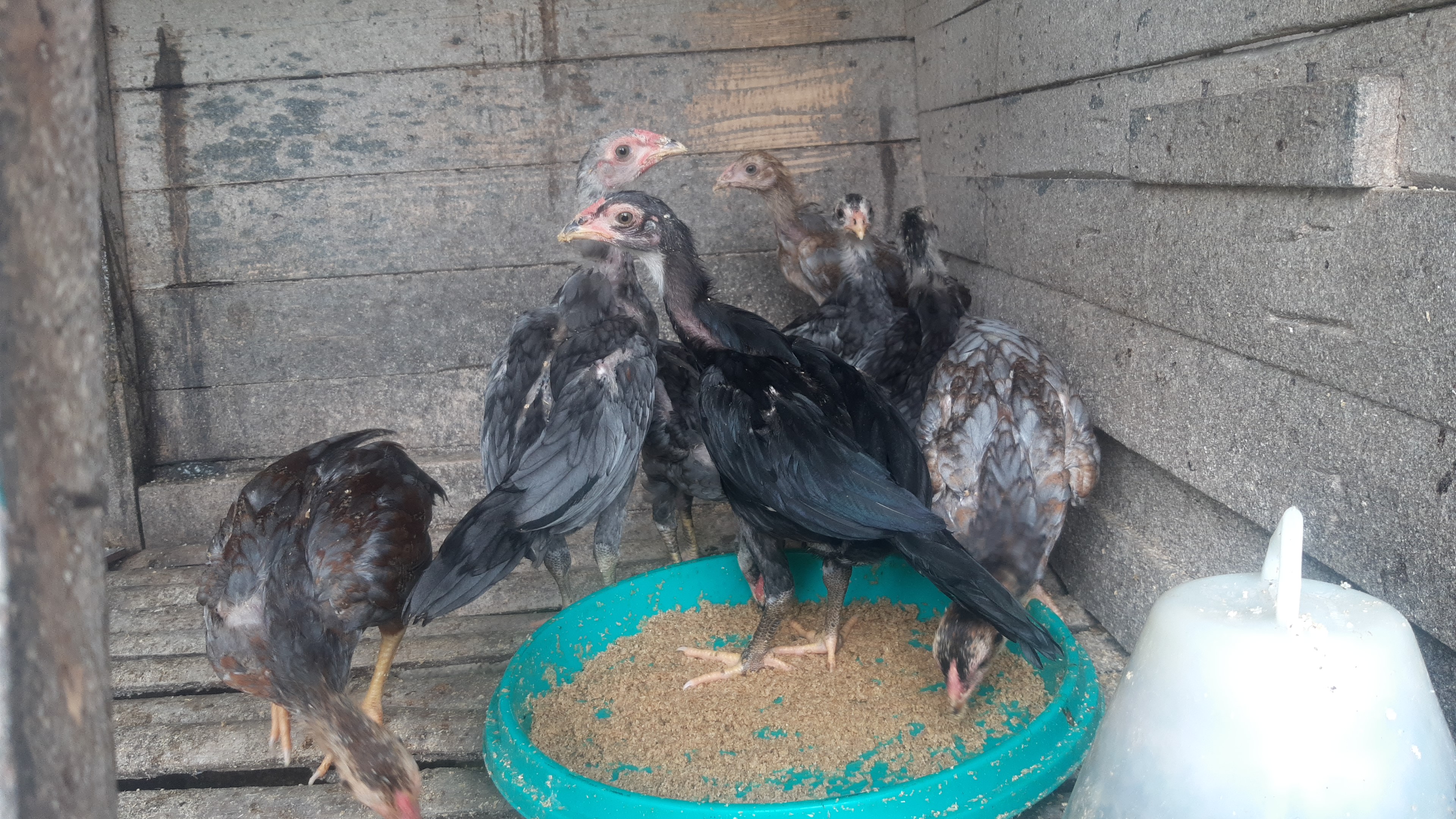 dm_347eab846dadcd58d6332568c8026a80