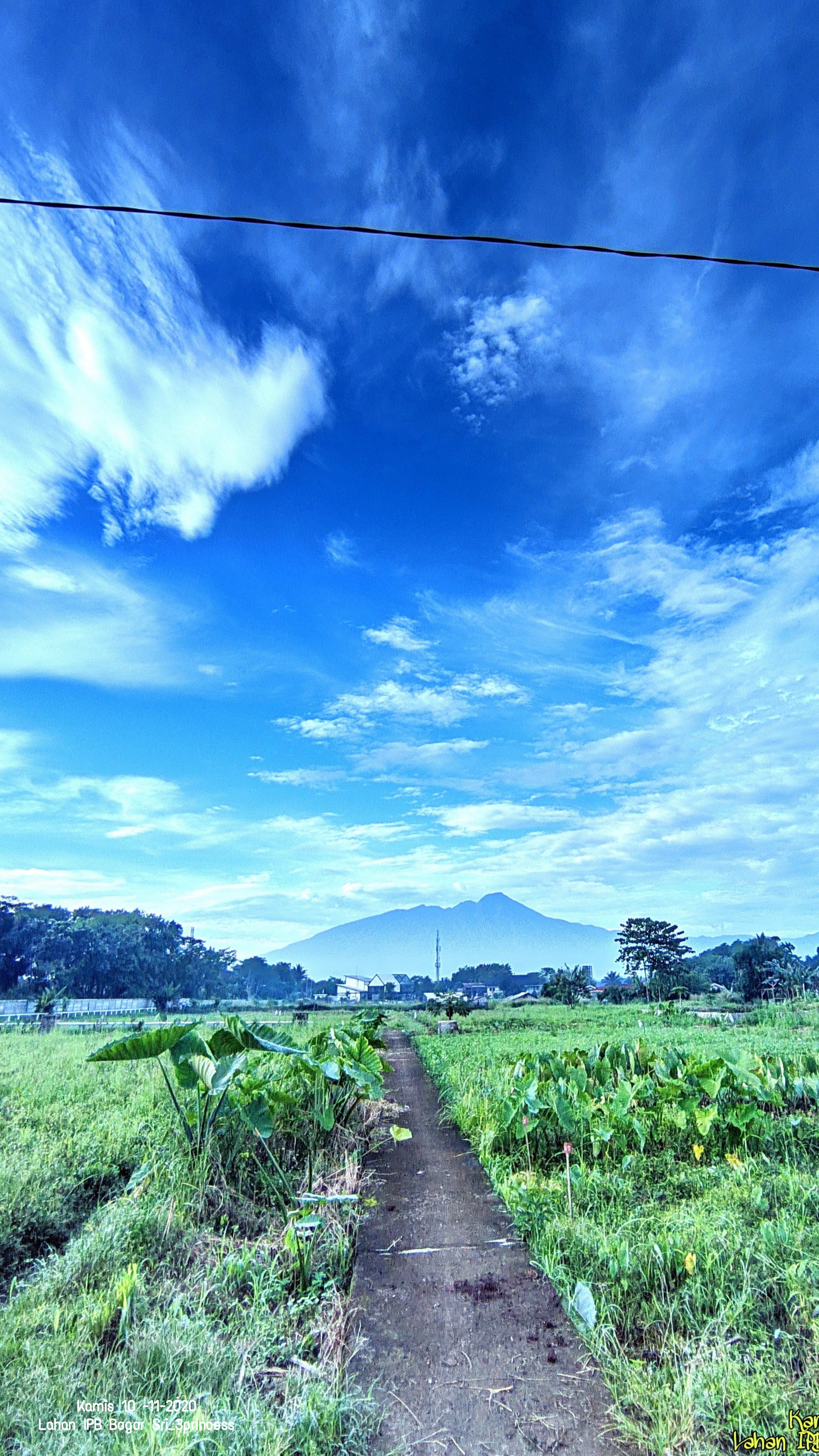 Srihandayani3Princess