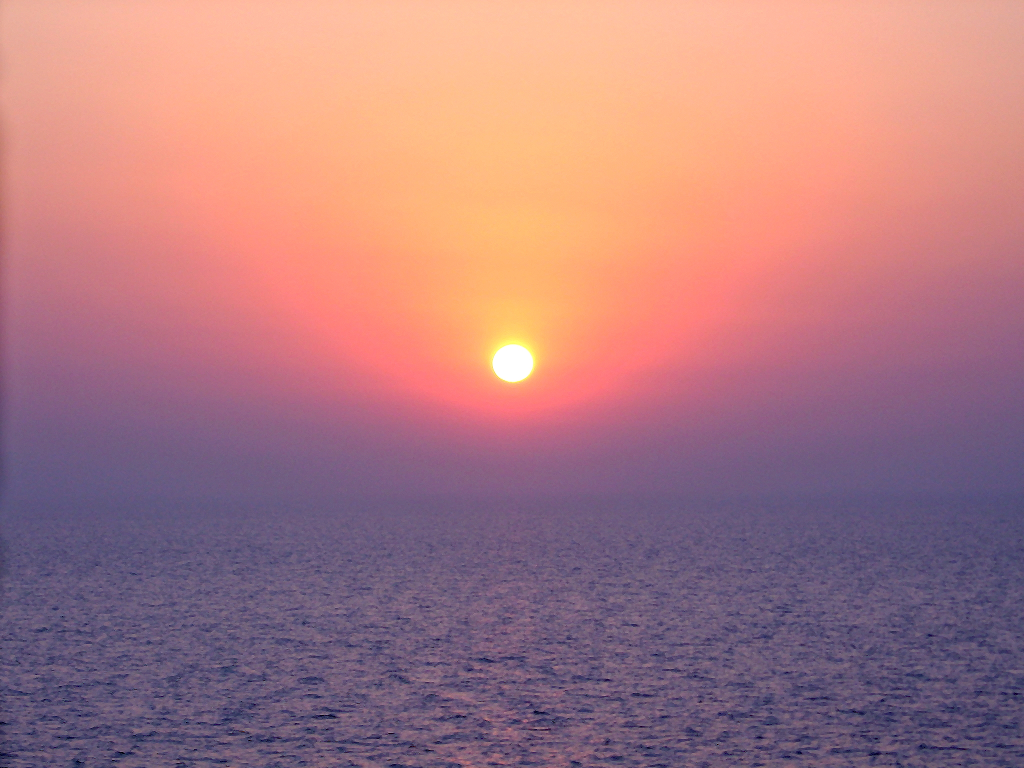 Catch Your Dream Life