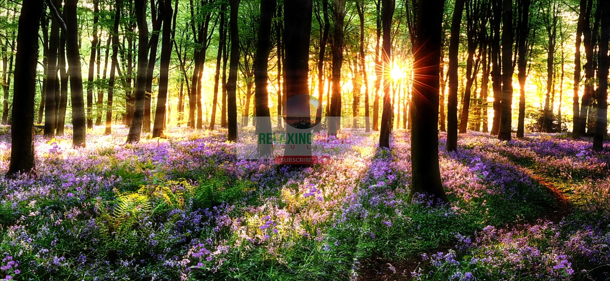 Relaxing Music You Life