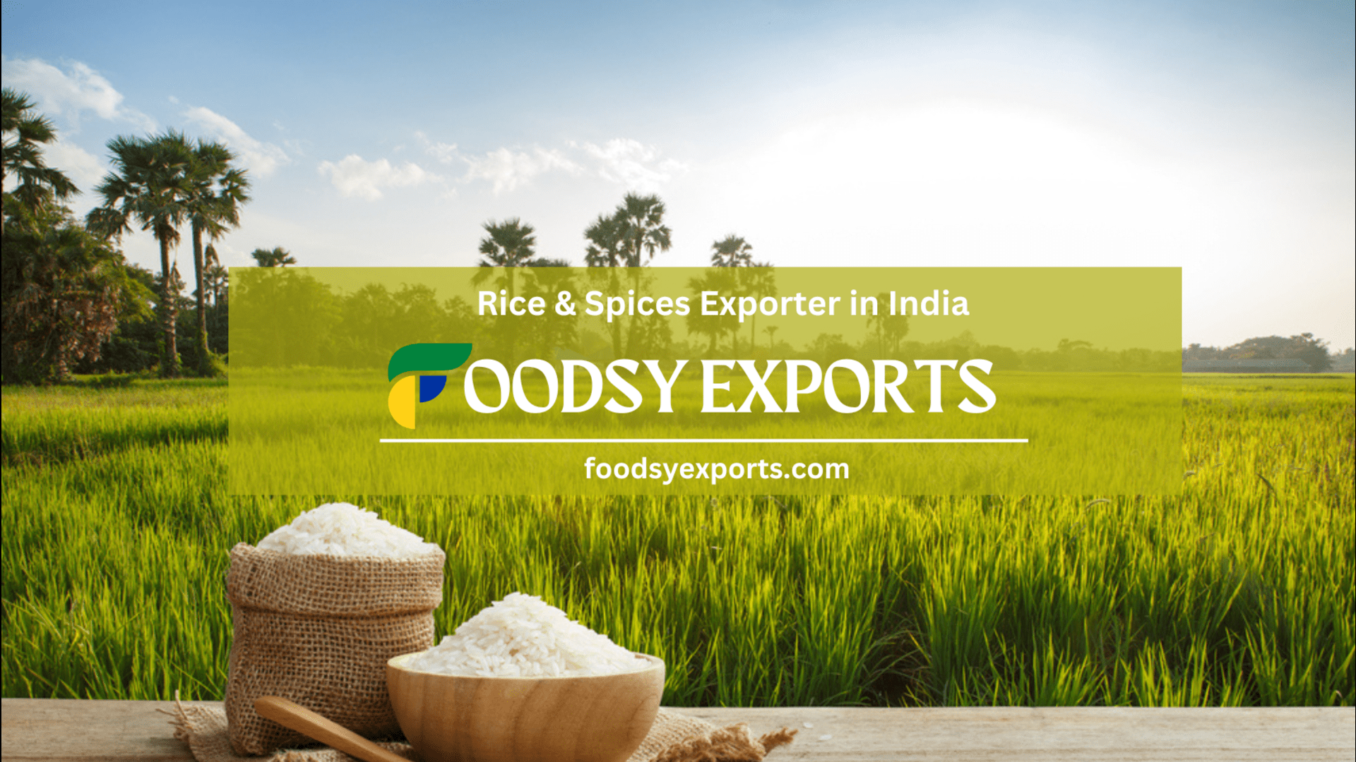 Foodsy Exports