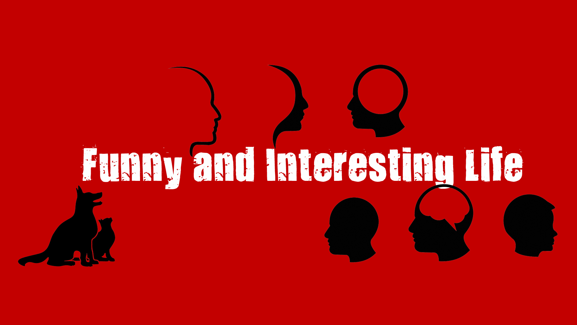 lumbung jati creepy videos