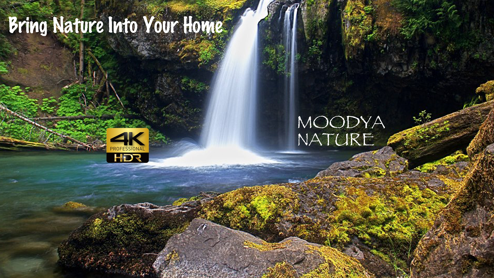 MOODYA HDR Nature Videos