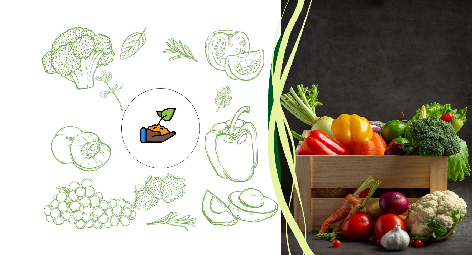 Tiwari's Green Terrace