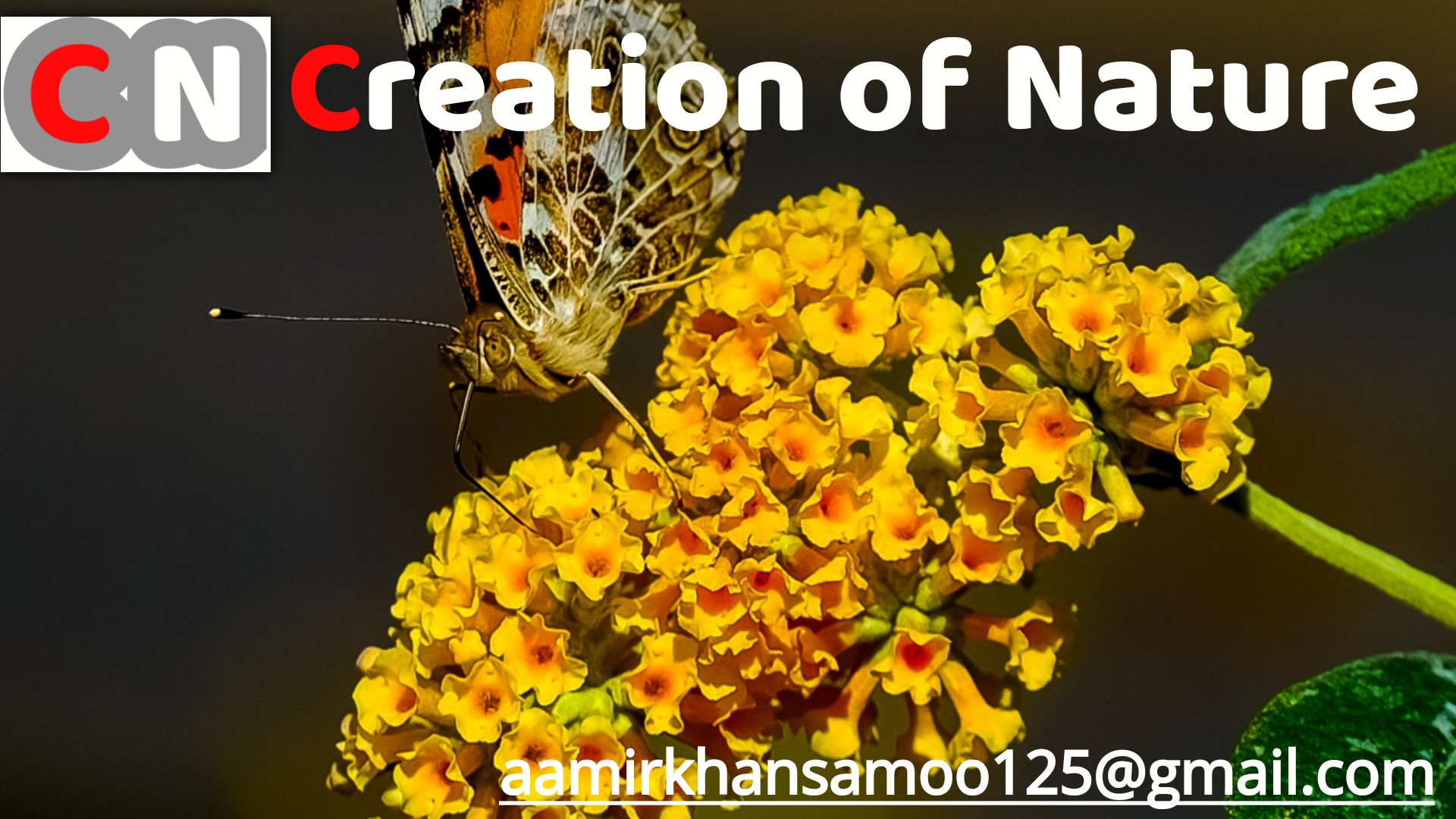 Creation of Nature