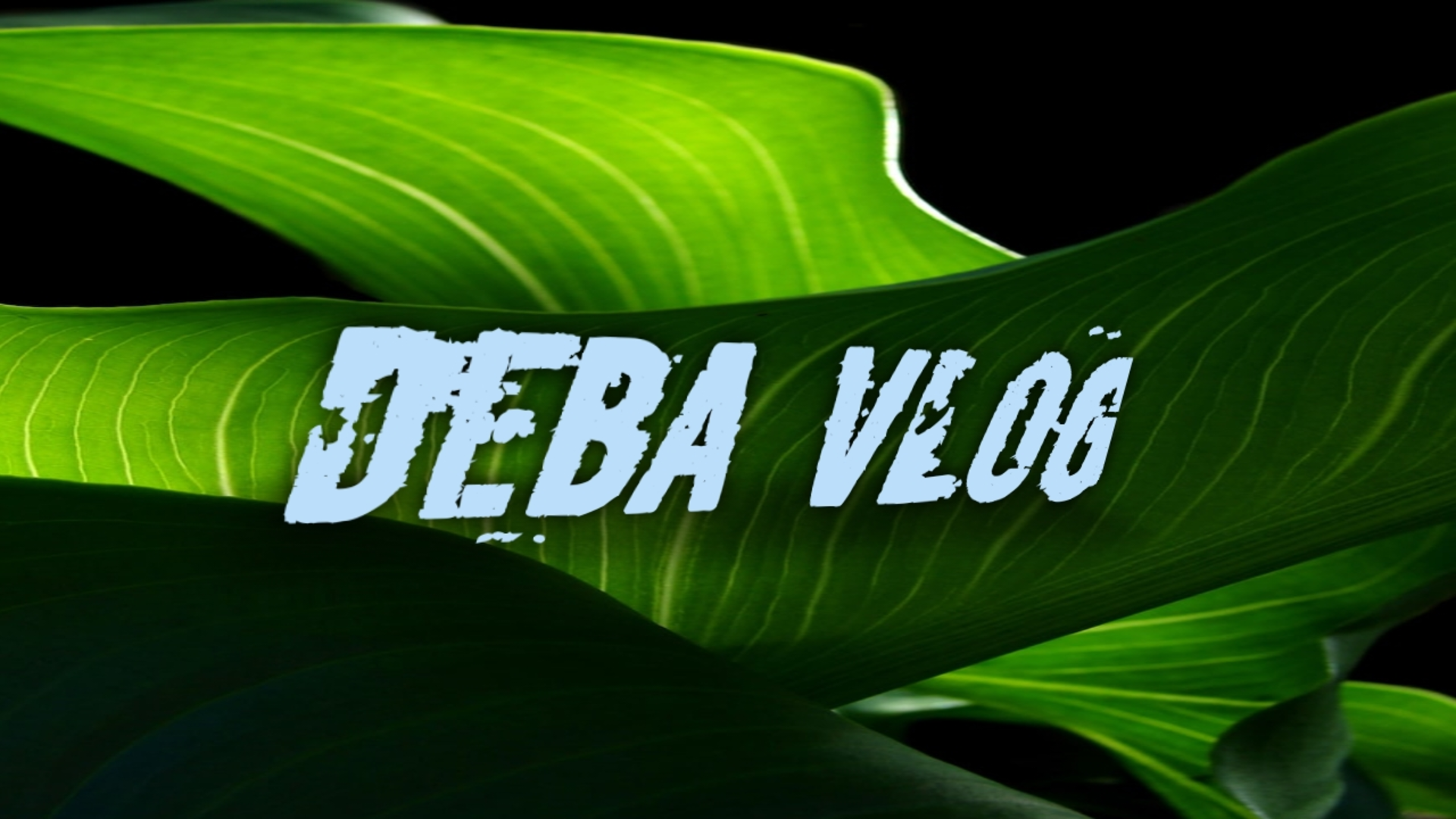 DeBa  VloG