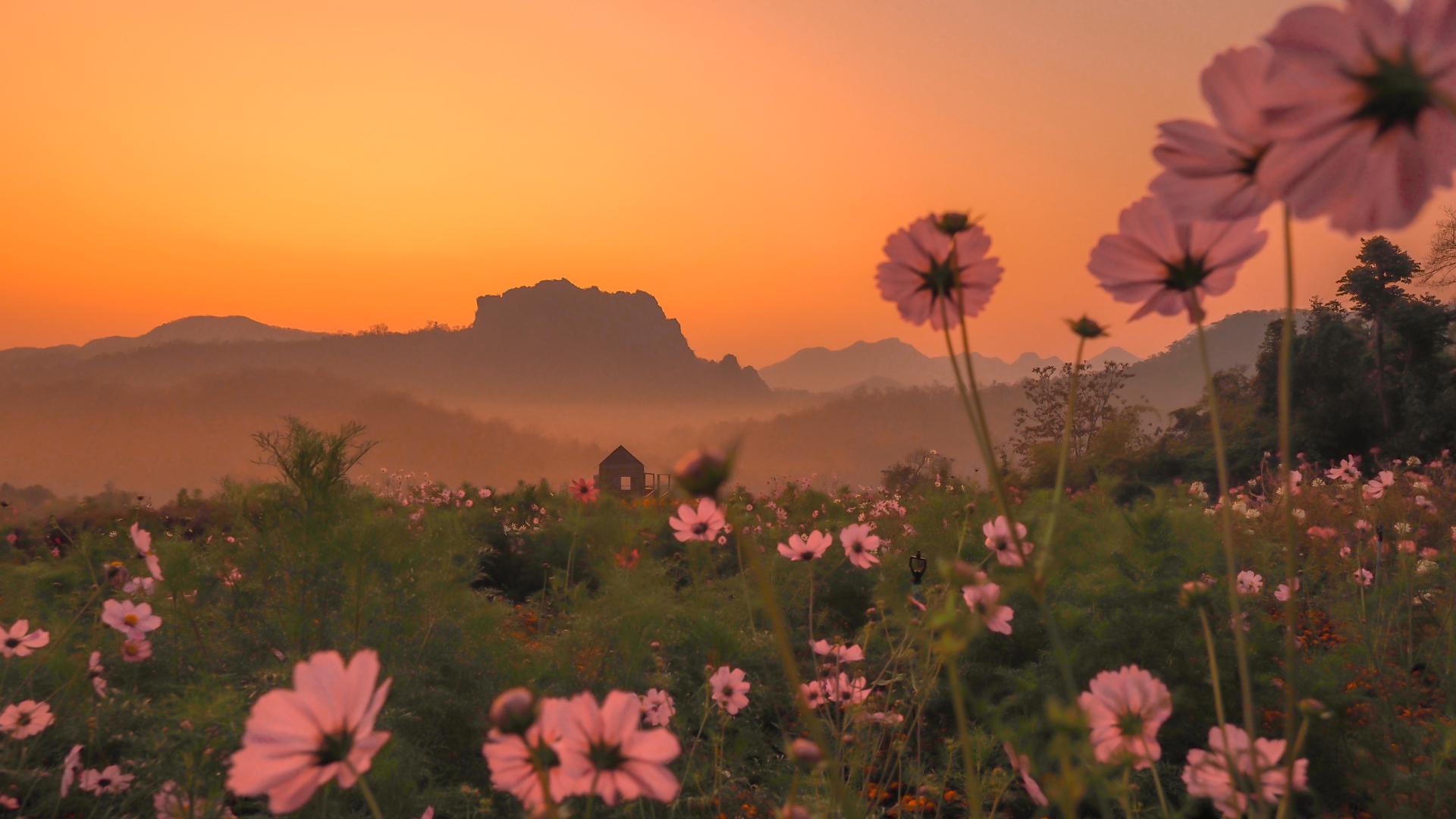 Meditation In Creation