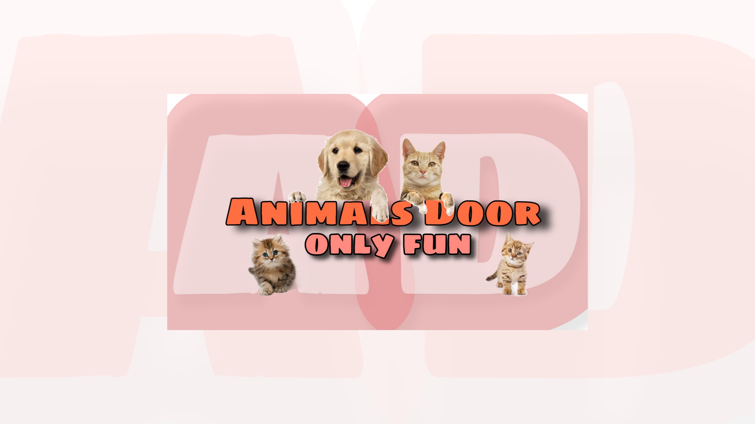 Animals Door