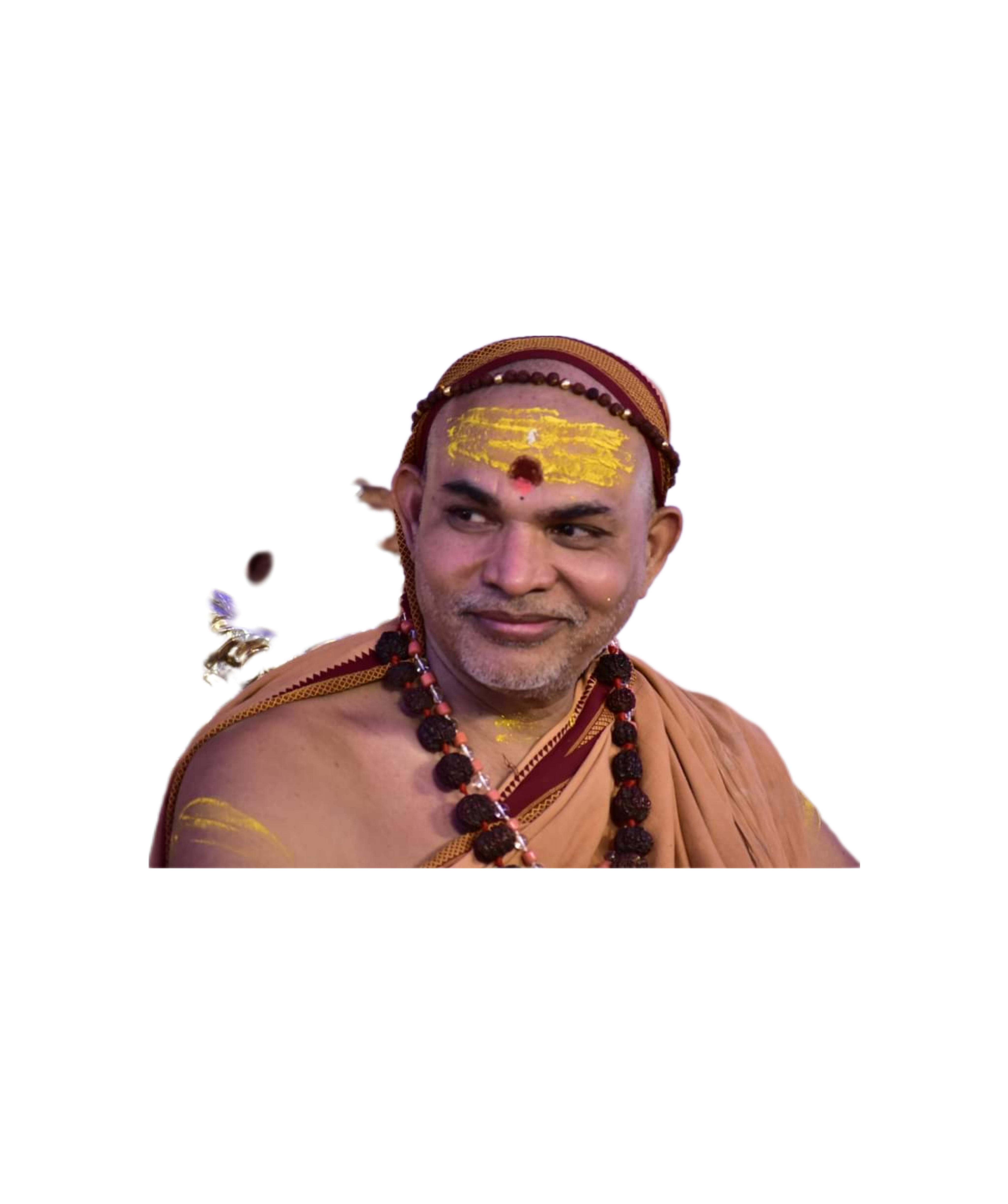 Avimukteshwaranandah  Saraswatee