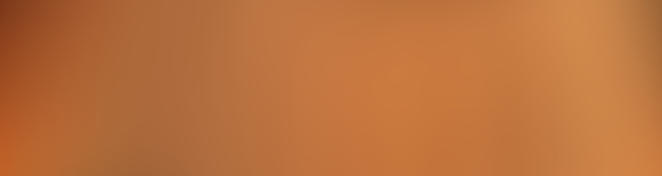 Javier Cámara Oltra