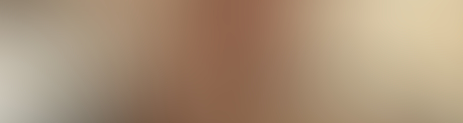 Stéphane Blanchonnet