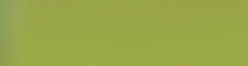 Konstantinos Vougioukas