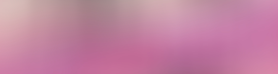 Damien HARTMANN Voix - Animateur - Musicien