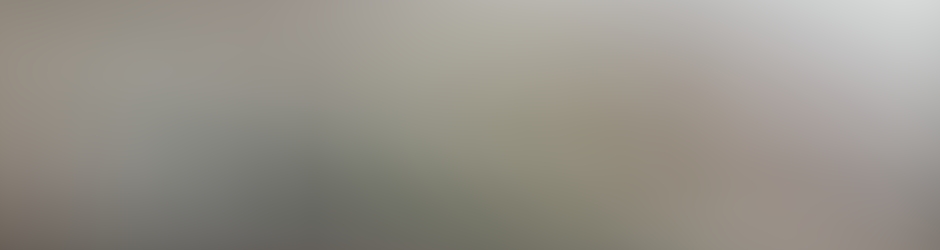 Romuald Thirion Romuald