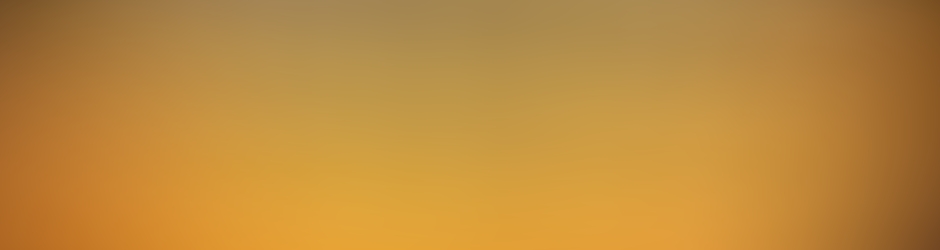 Renegade Wrestling Alliance