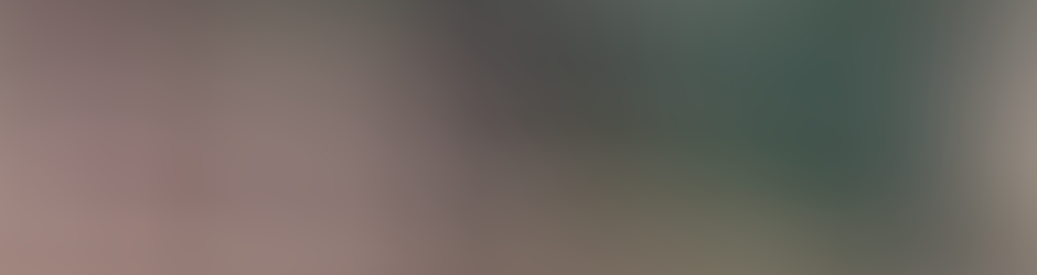 Association pour le Jumelage Andrésy Korgom