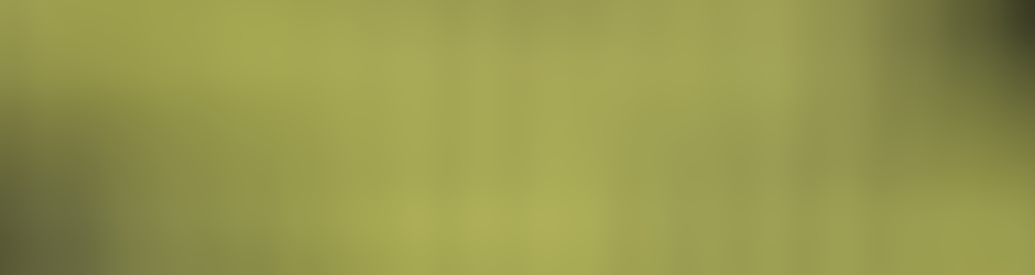 La compagnie du capitaine