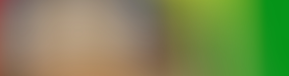 Румен Чернев